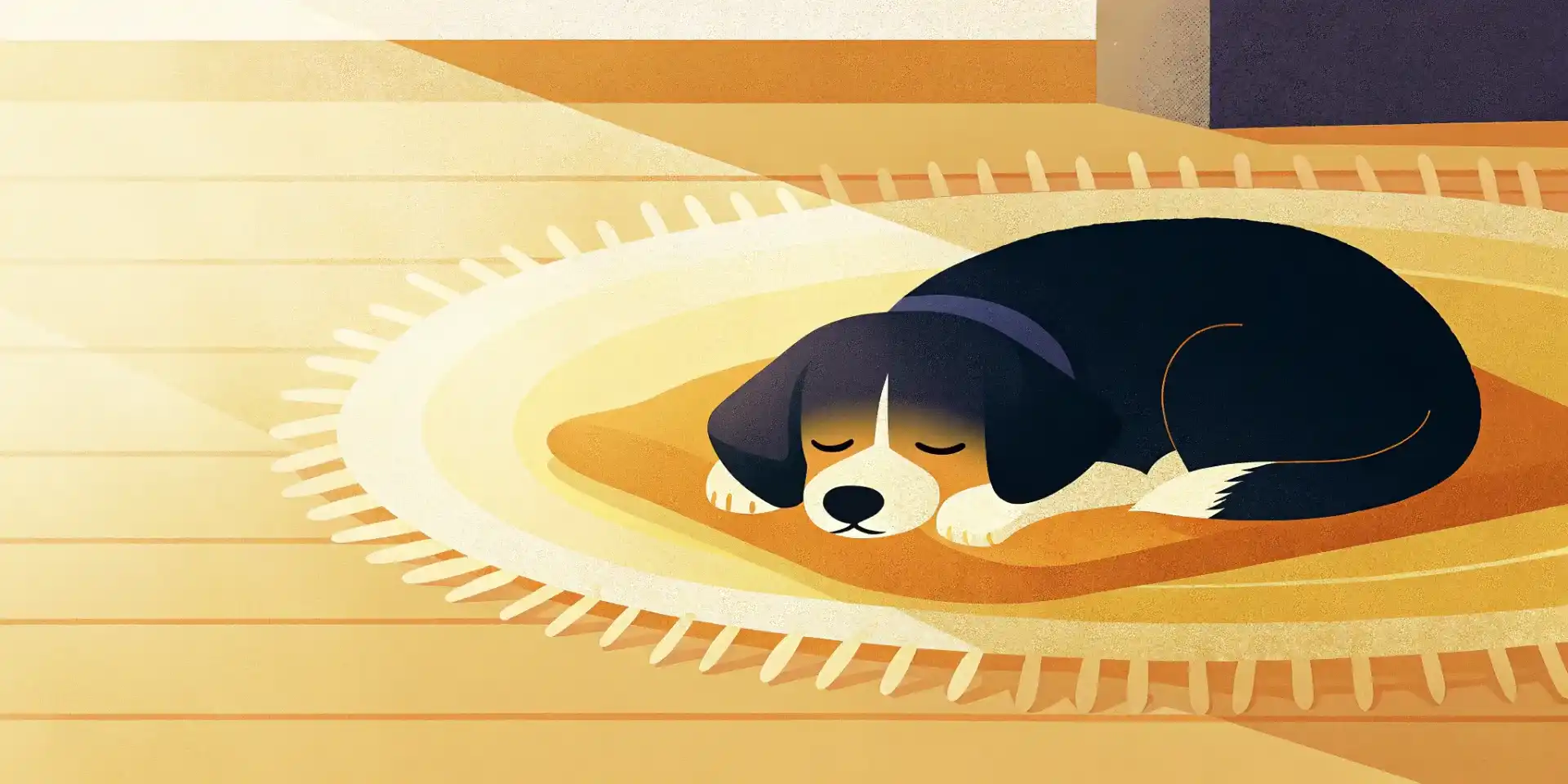 New Puppy Prep: Welcome Home Guide
