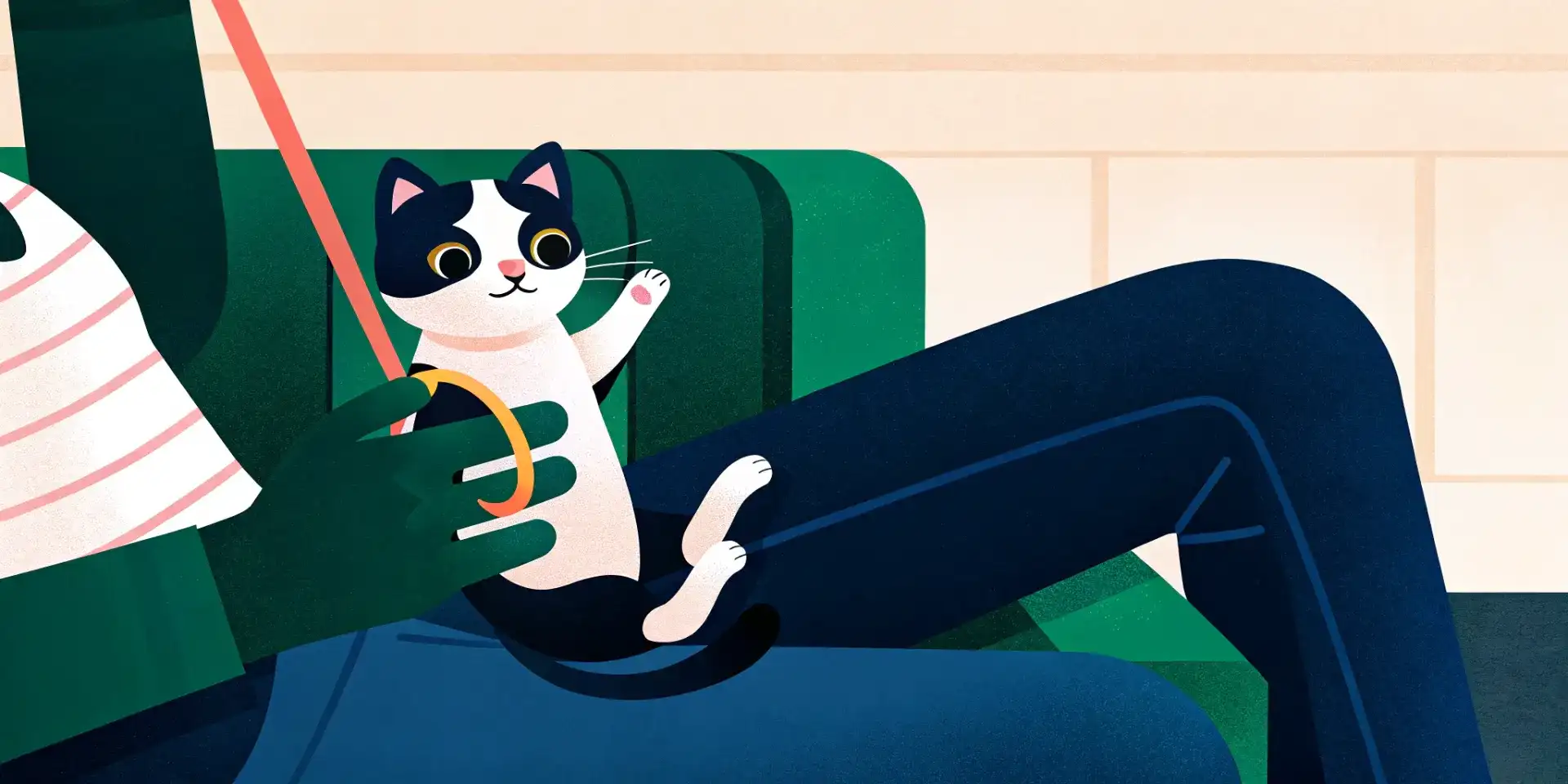 Owner playing with kitten using a toy