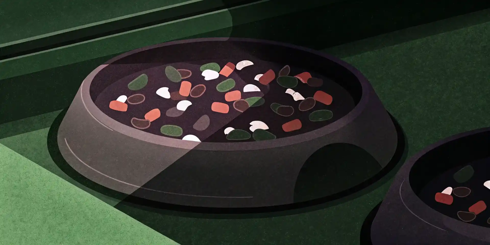 A close-up of a puppy food kibble with visible ingredients