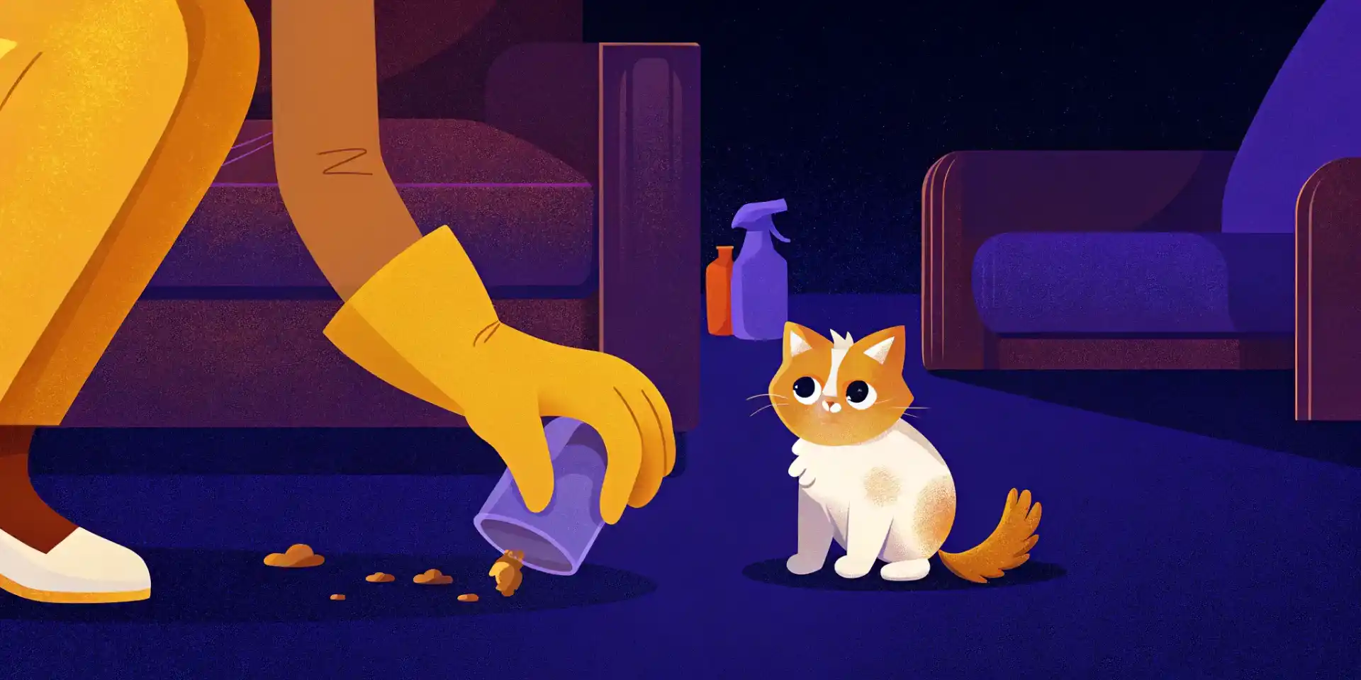 A pet owner cleaning up a kitten accident with enzymatic cleaner