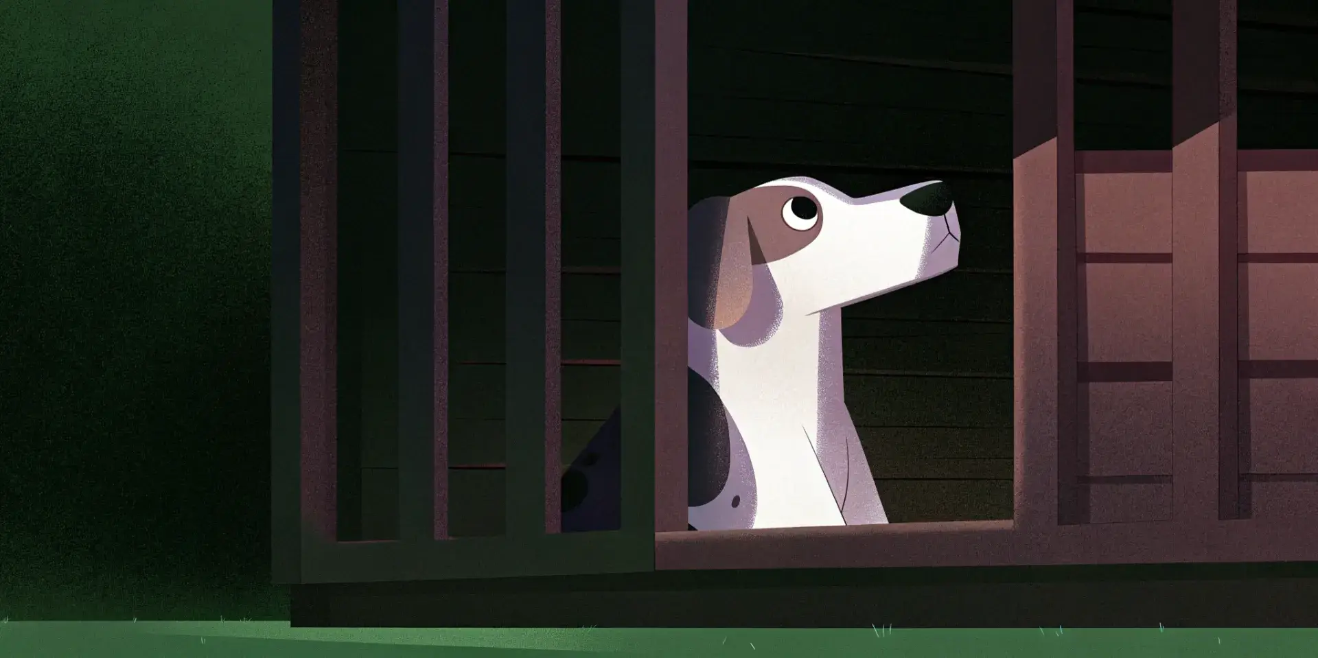 Dog looking longingly out of a crate