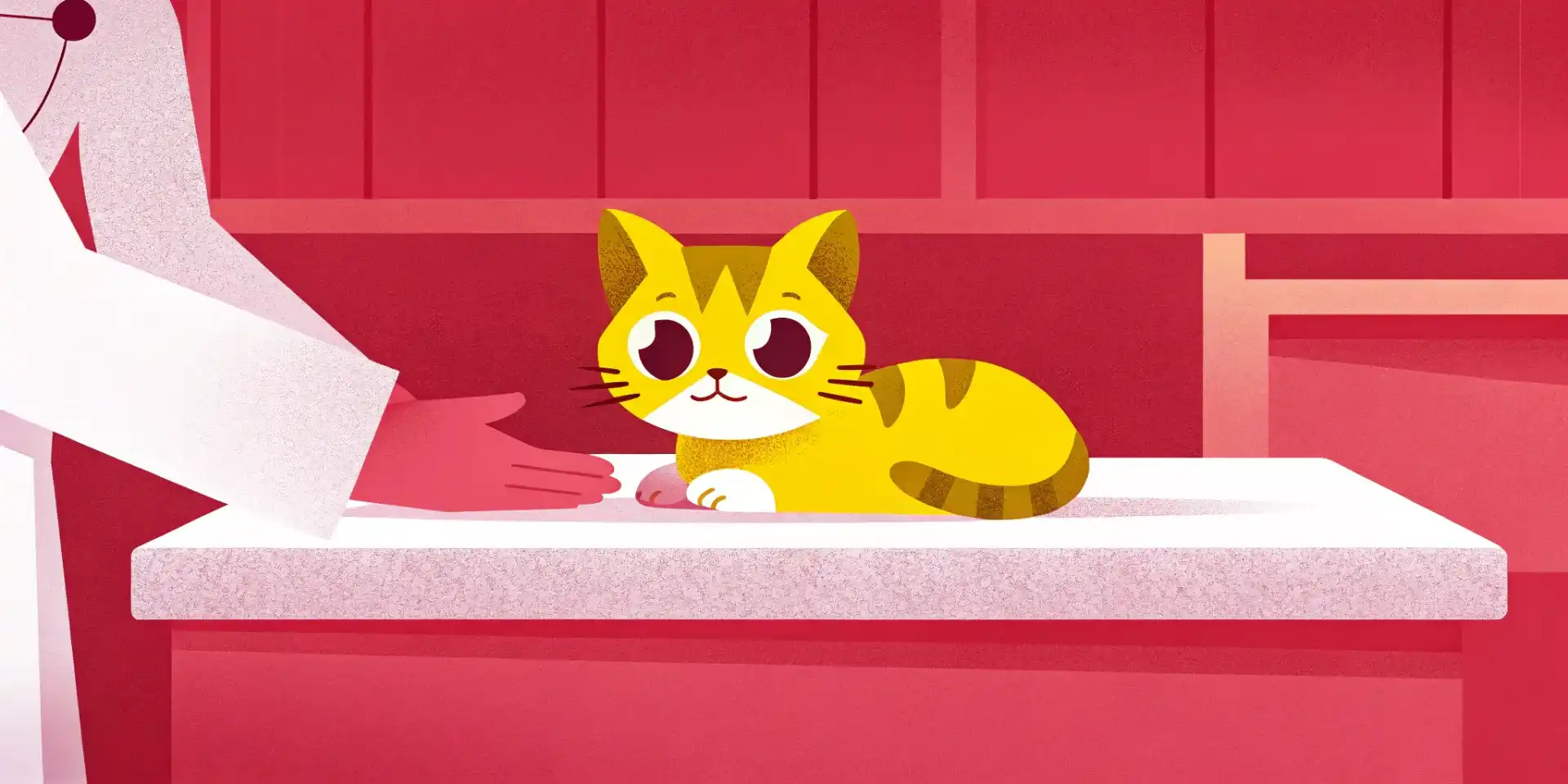 Cute kitten being examined by a veterinarian