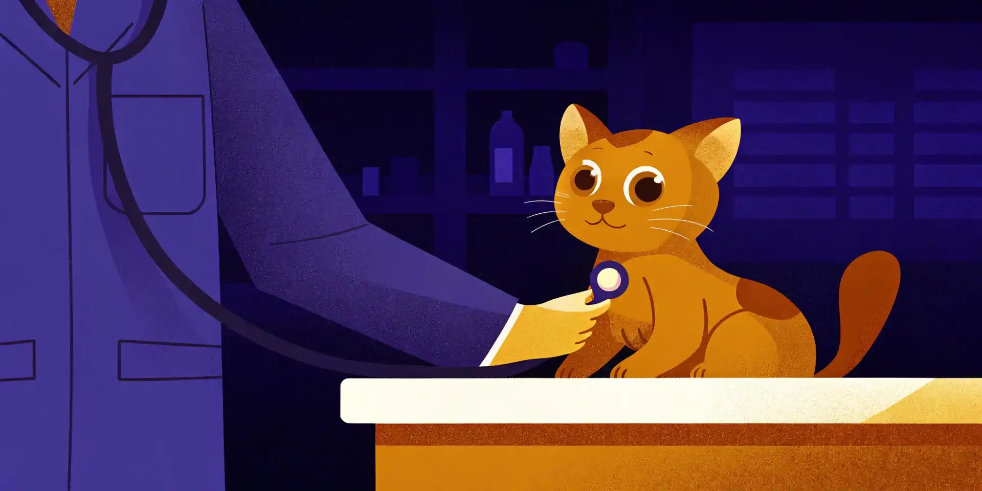 Veterinarian using a stethoscope on a kitten