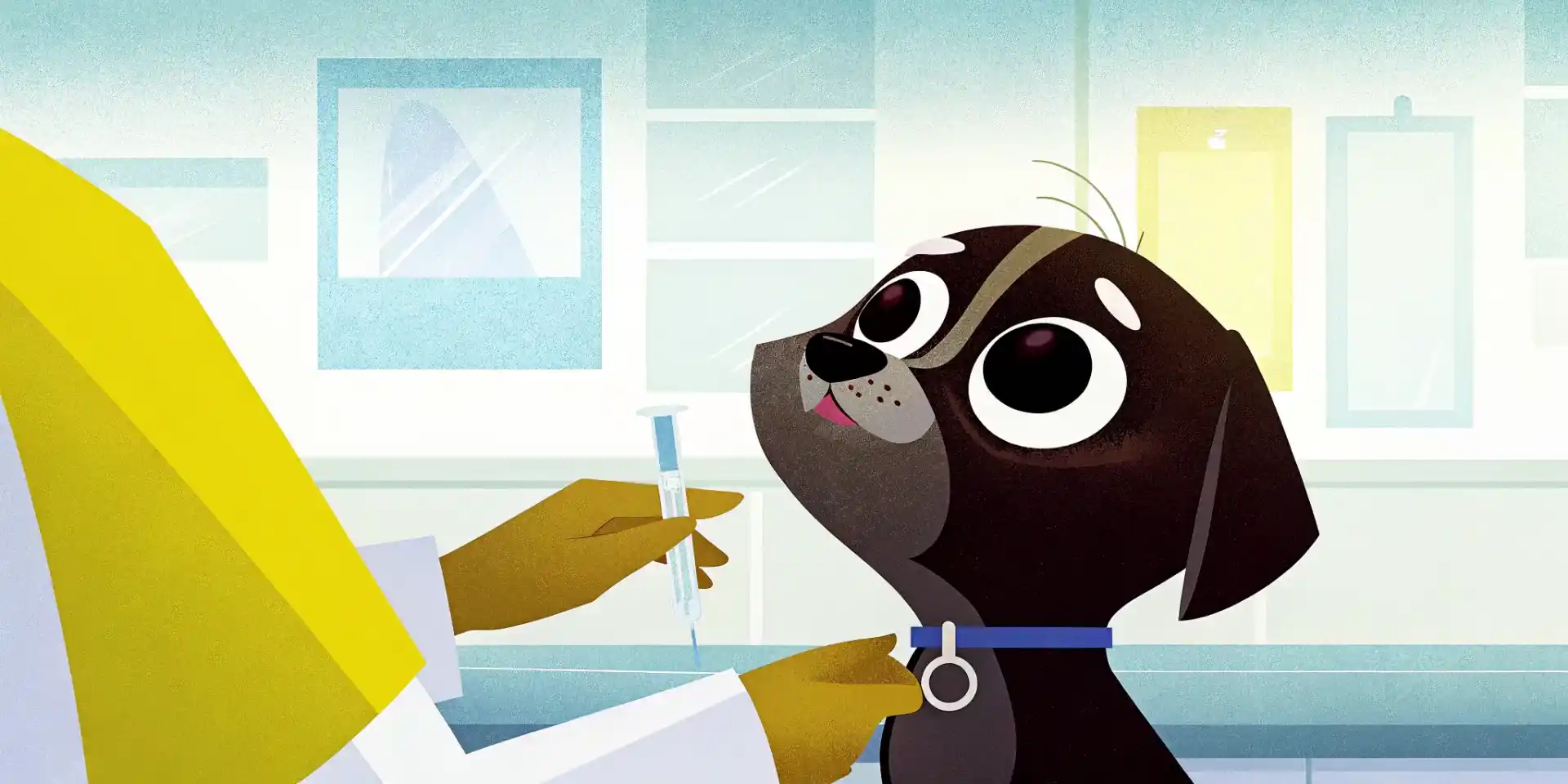 Puppy getting vaccinated at the vet clinic