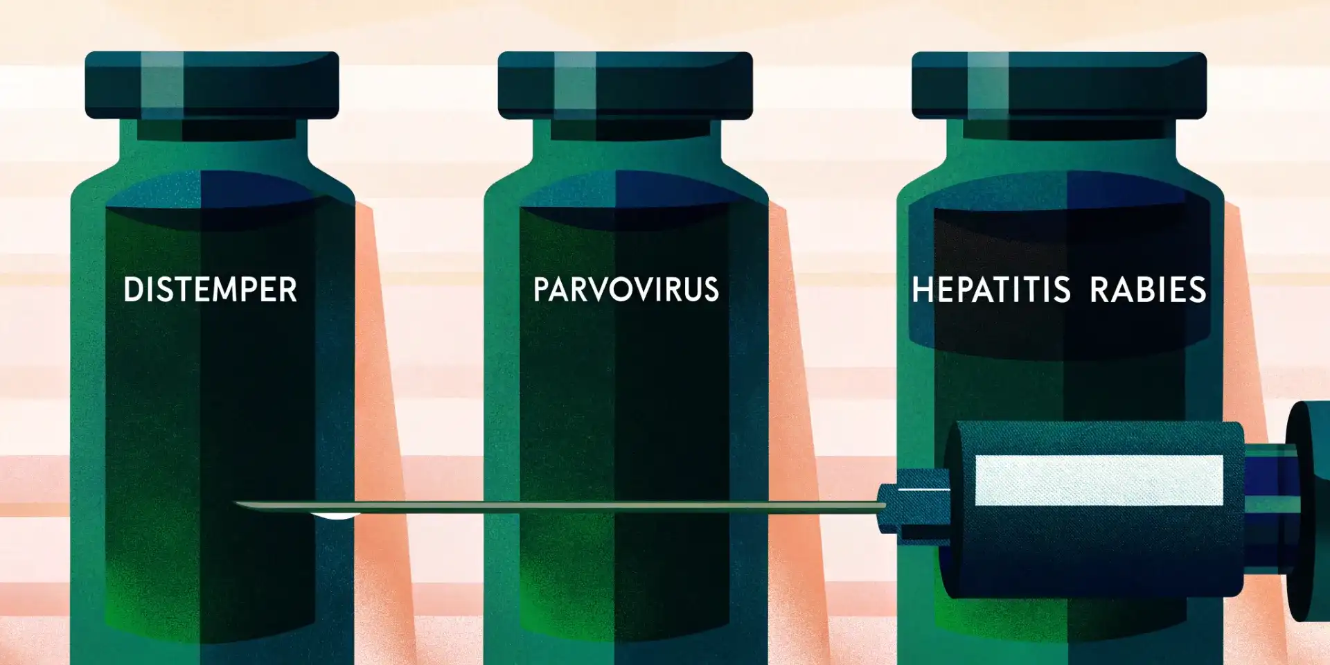 Different types of puppy vaccinations