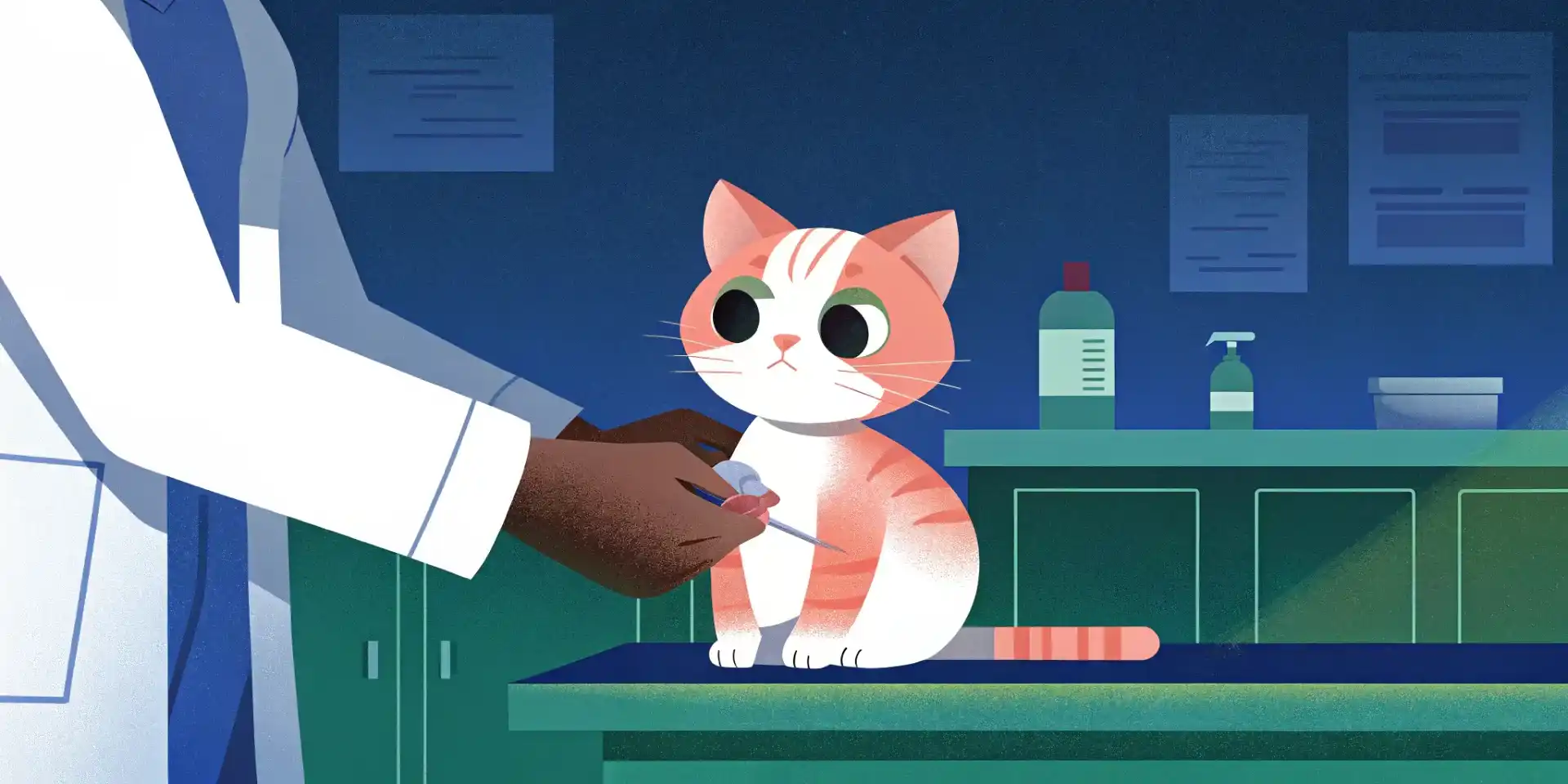 A veterinarian administering a vaccine to a young kitten.