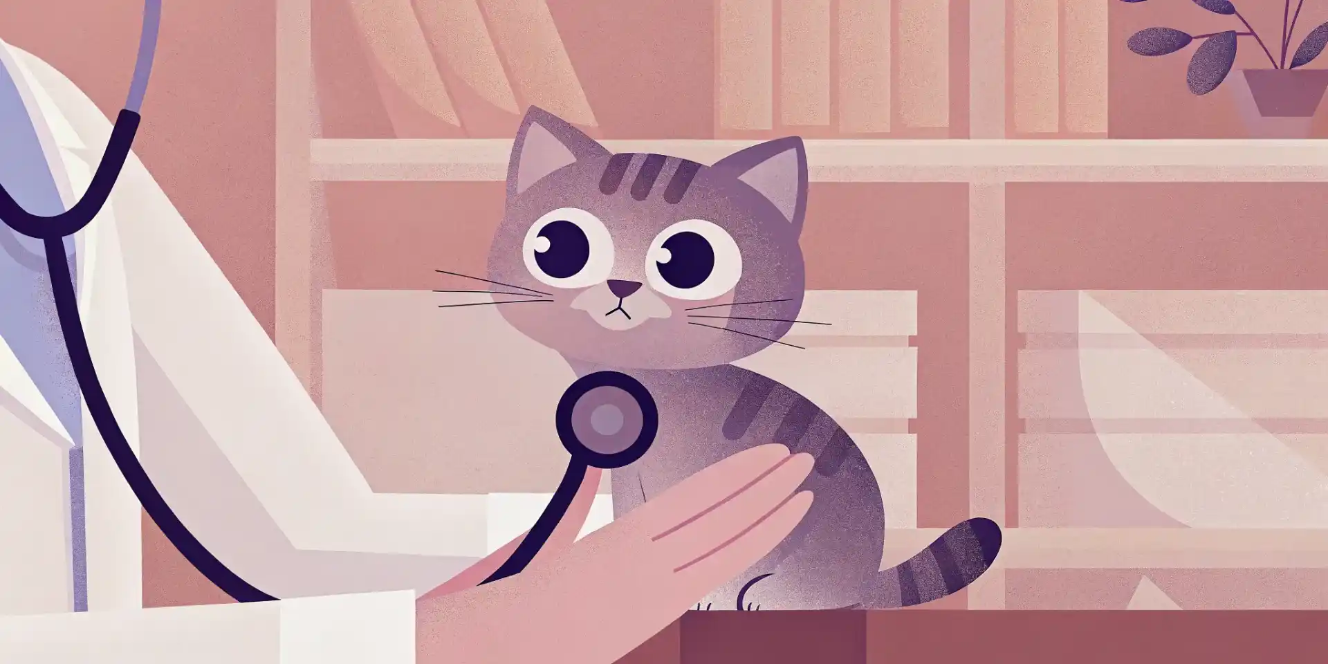 Veterinarian examining a kitten