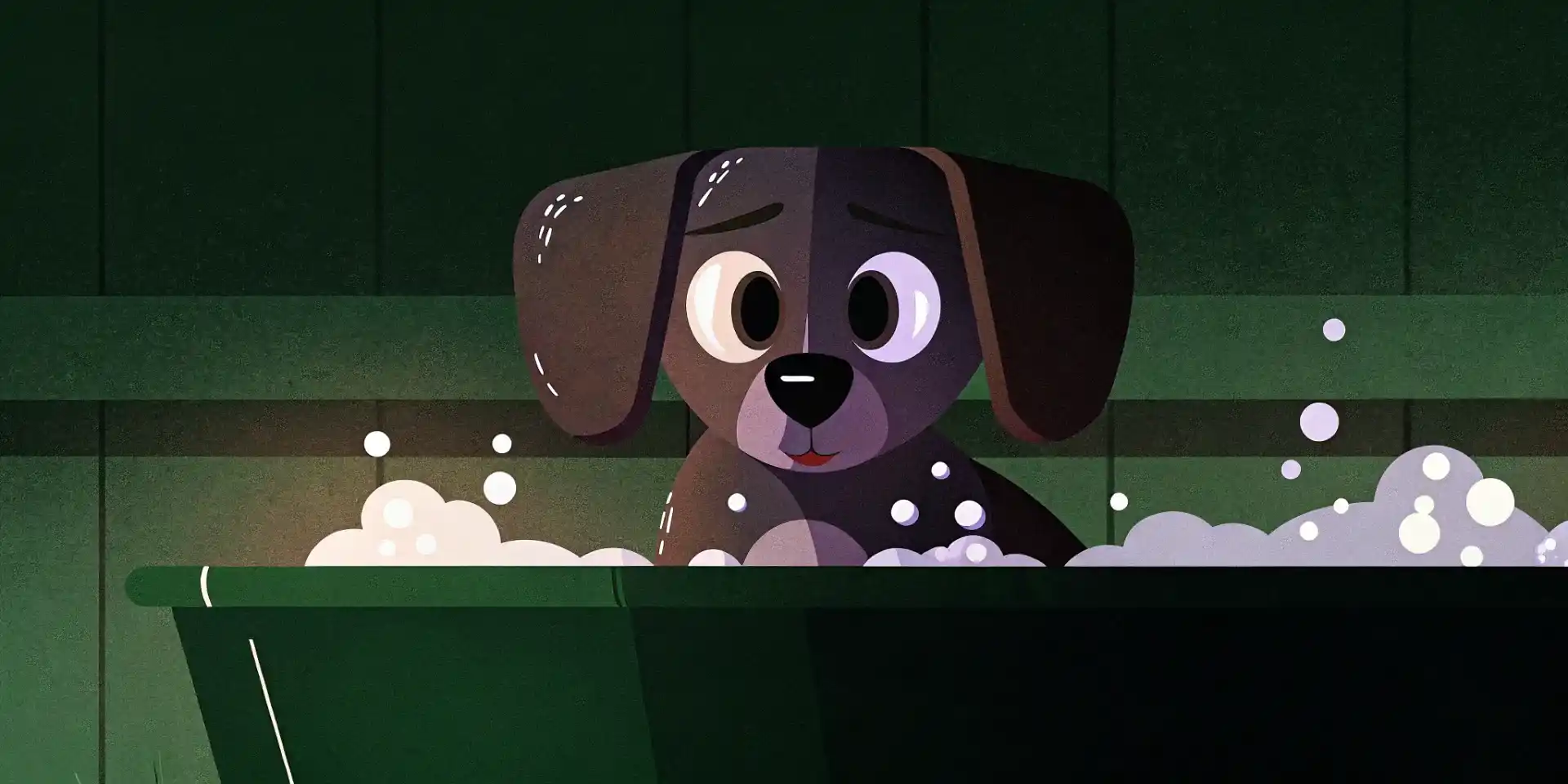 Puppy getting a flea bath