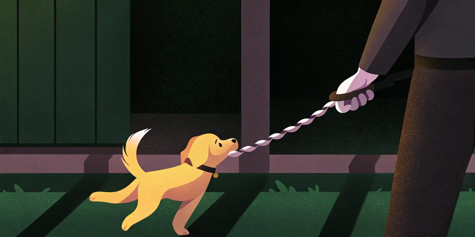 A golden retriever puppy playfully tugging on a rope toy held by its owner