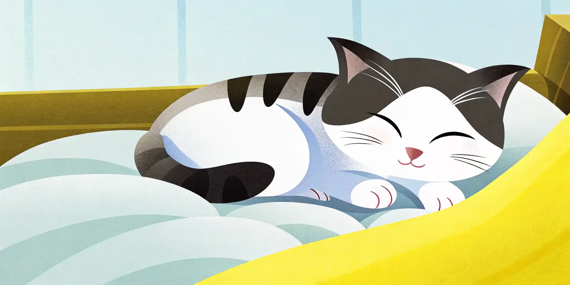 Kitten sleeping peacefully