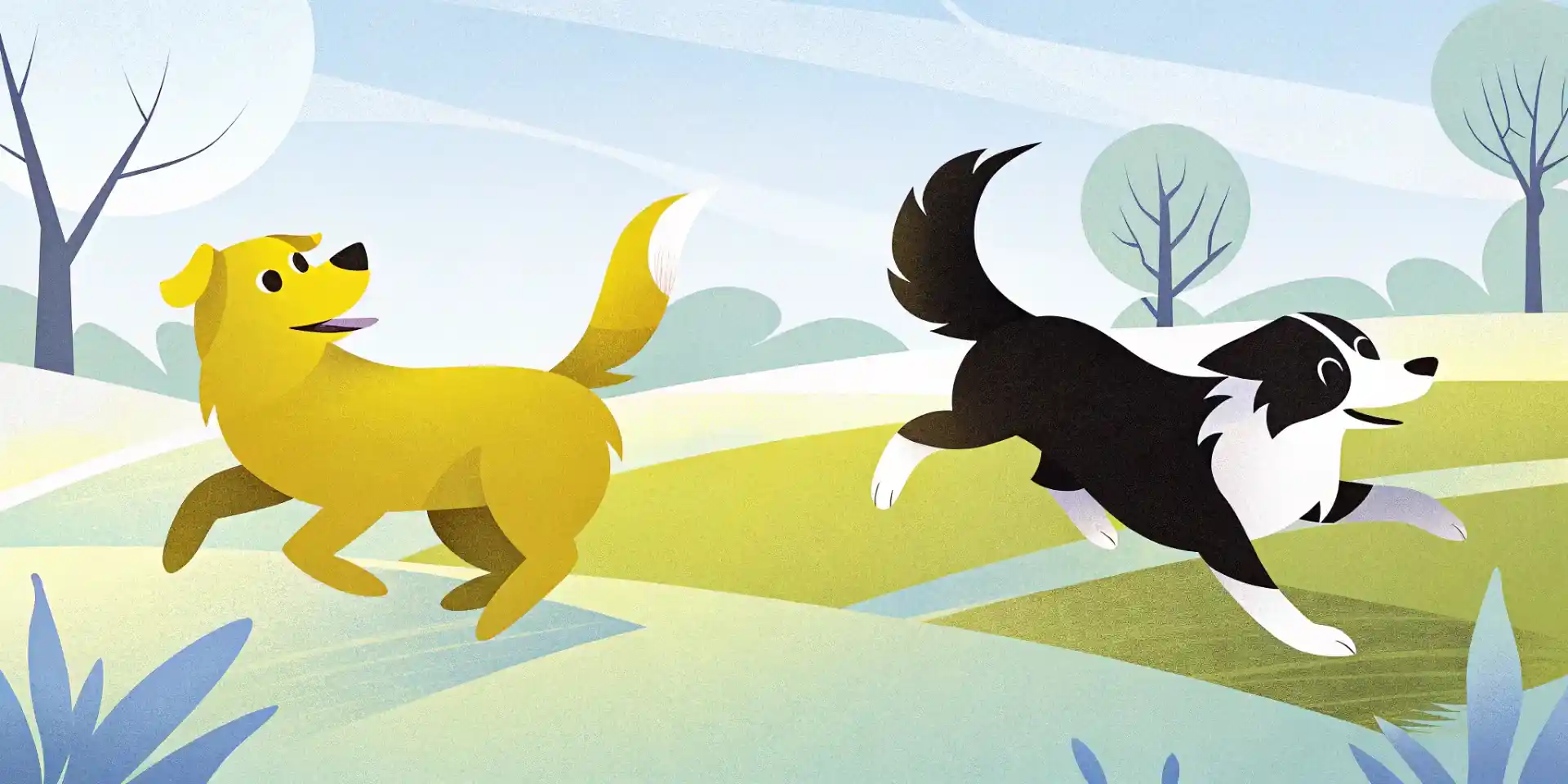 Puppies playing together in a park