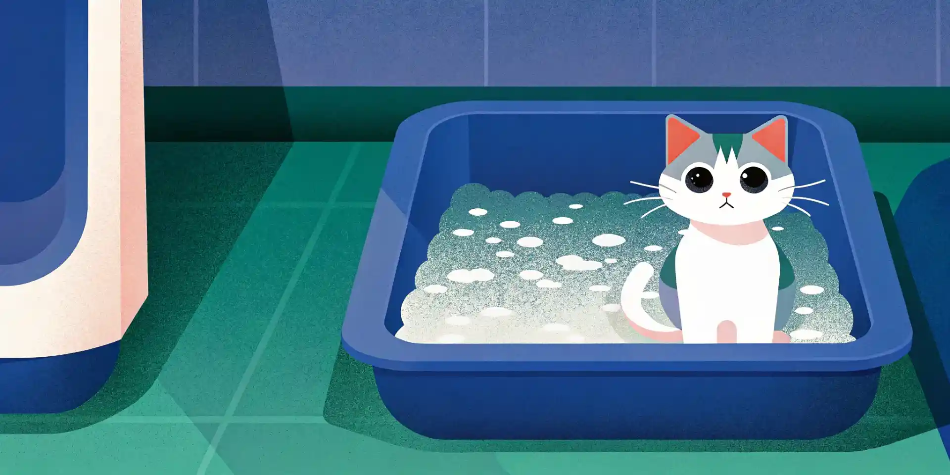 A kitten using a litter box with diarrhea