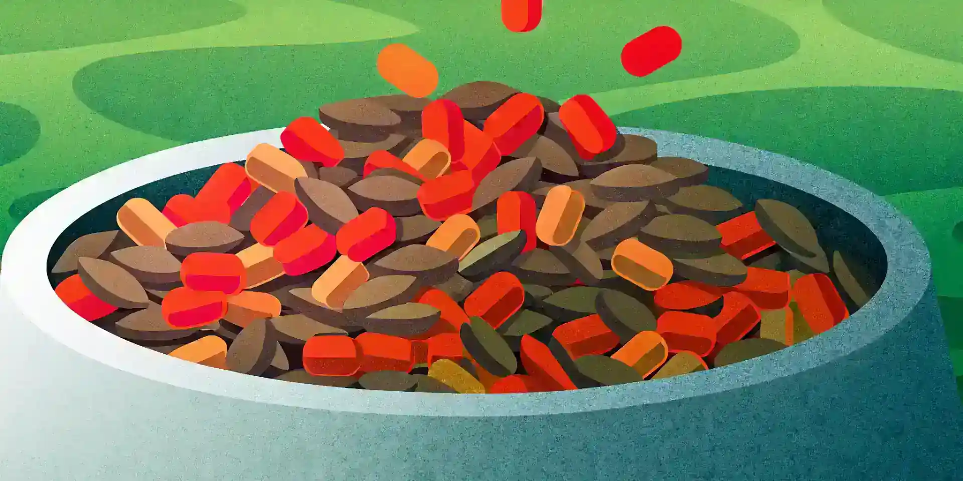 A close-up of adult dog food kibble in a bowl