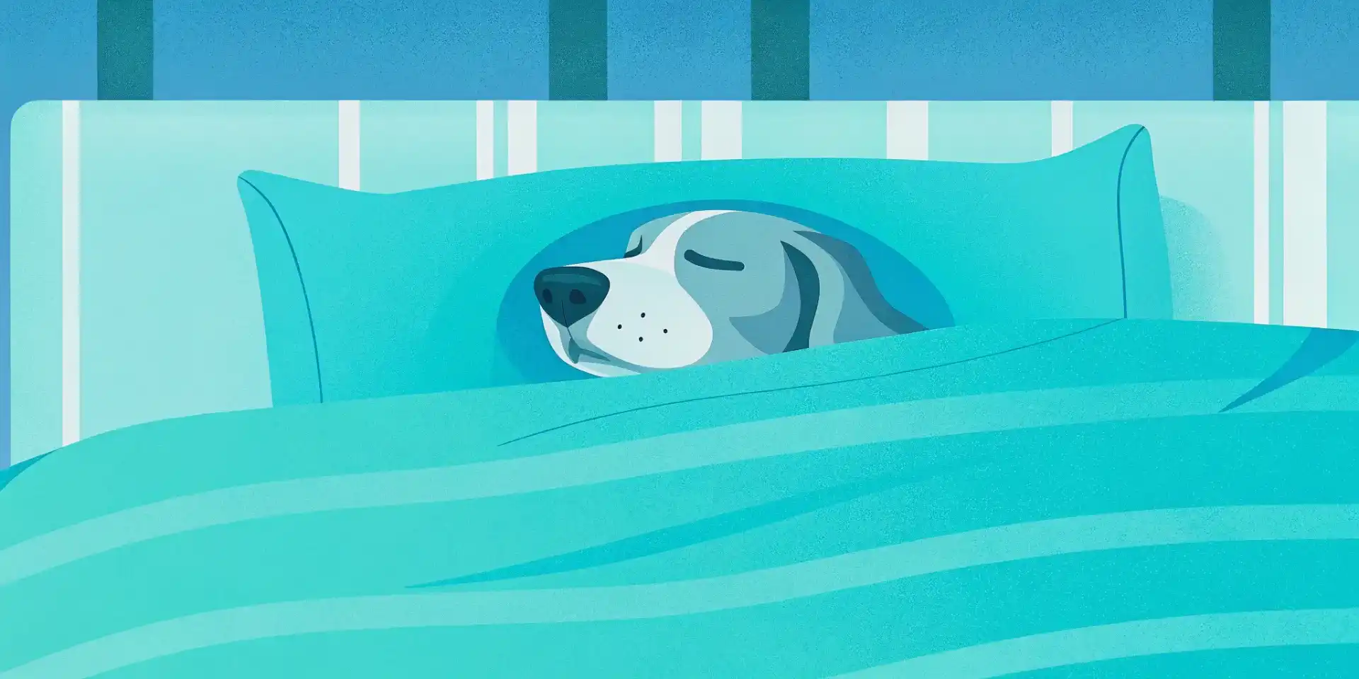 A senior dog relaxing in a comfortable bed
