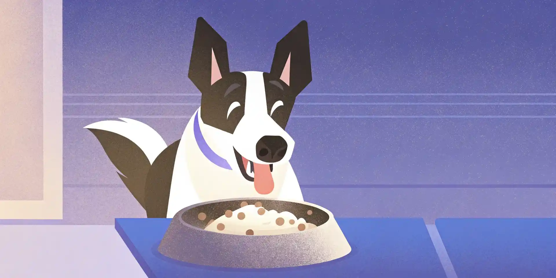 Happy adult dog eating from a bowl