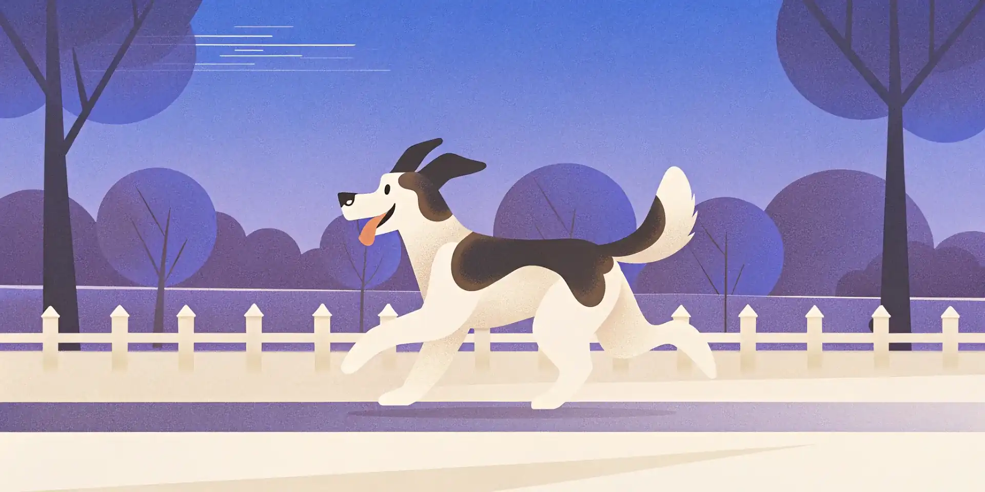 Dog running in a park