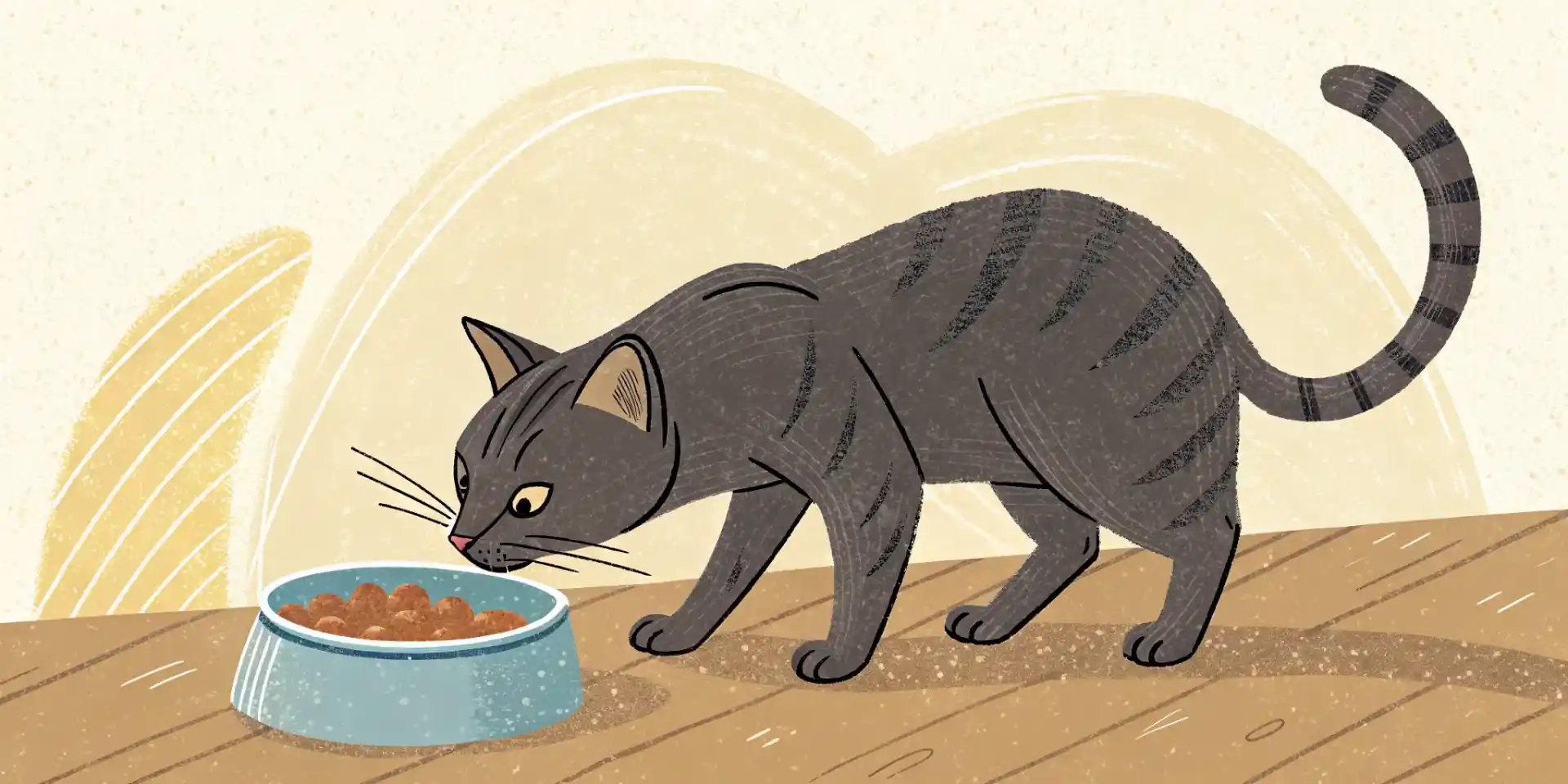 An adult cat eating wet food from a bowl.