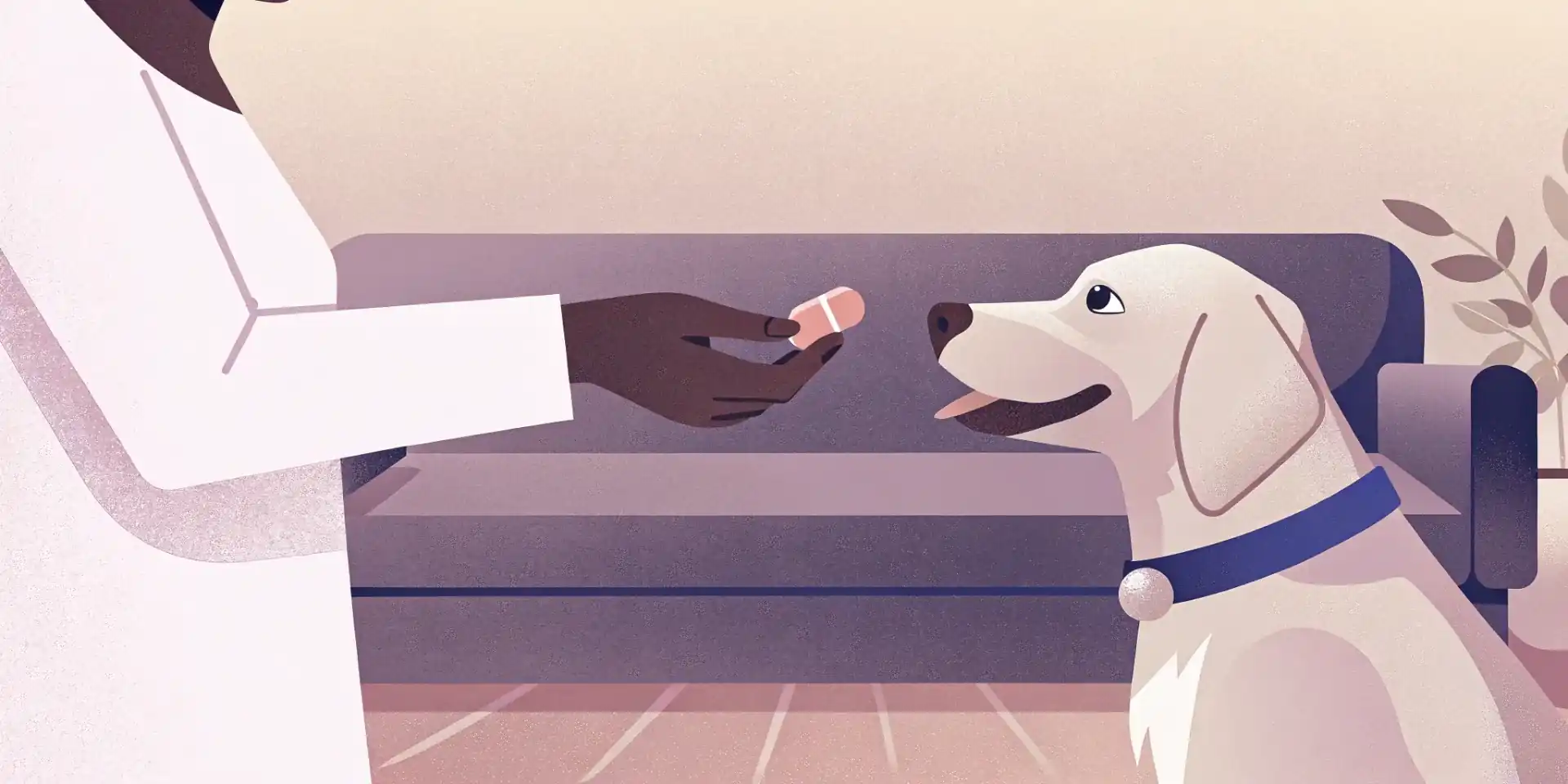 An owner giving their dog medication with a treat, emphasizing the importance of at-home care.