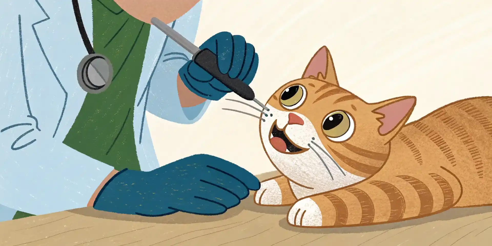 A close up of a veterinarian examining a cat's teeth