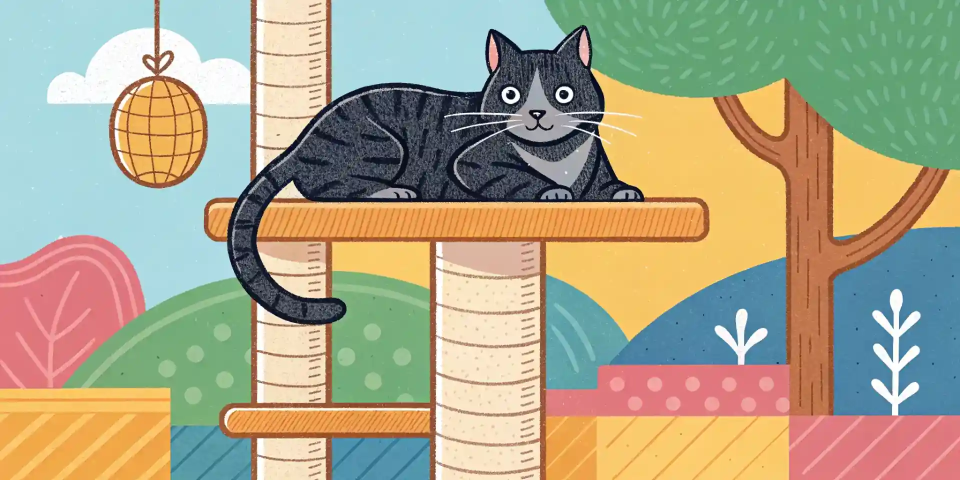 A senior cat resting comfortably on a cat tree