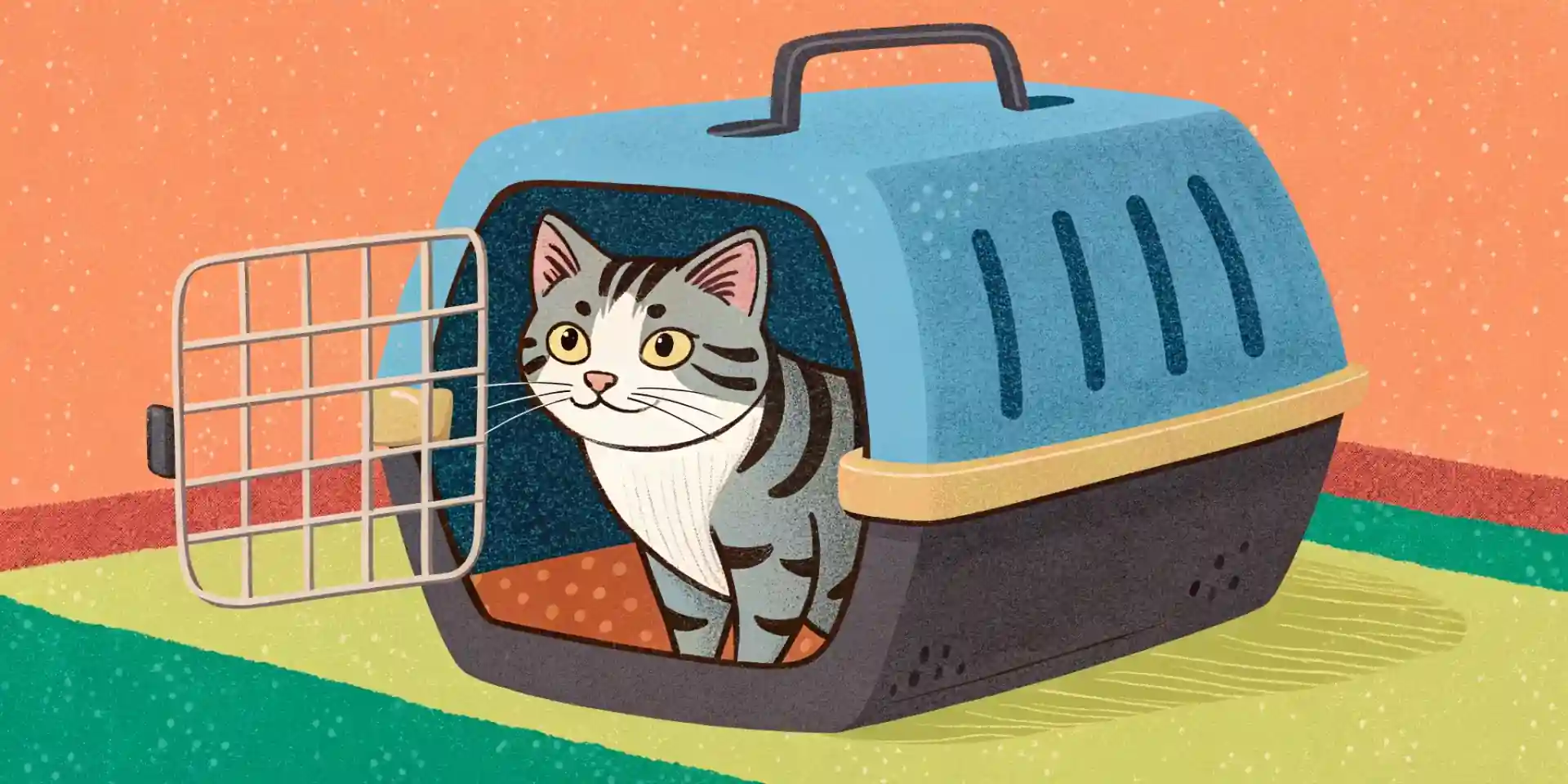 A cat comfortably inside a carrier, ready for a vet visit.