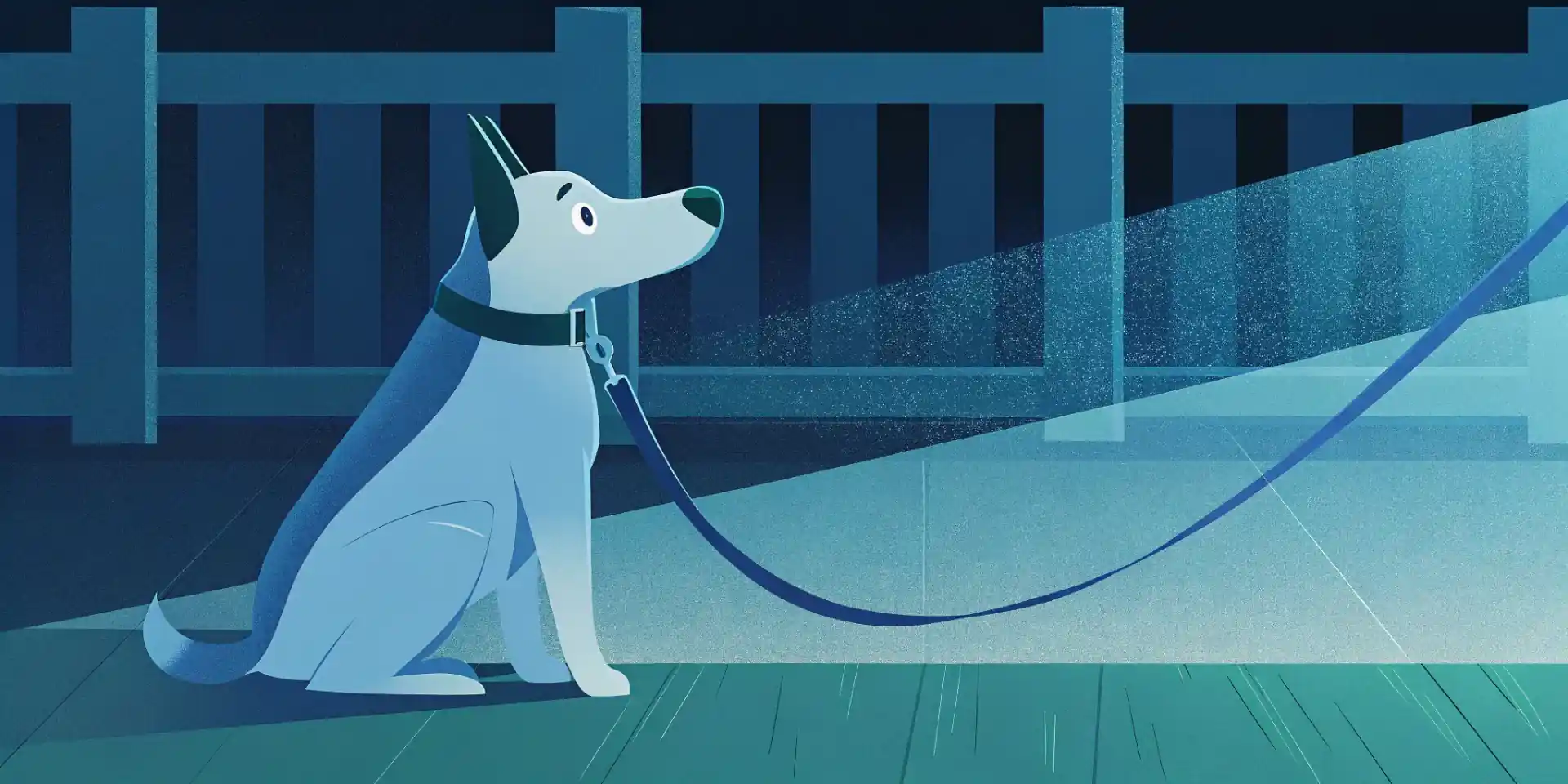 Dog looking longingly at a leash