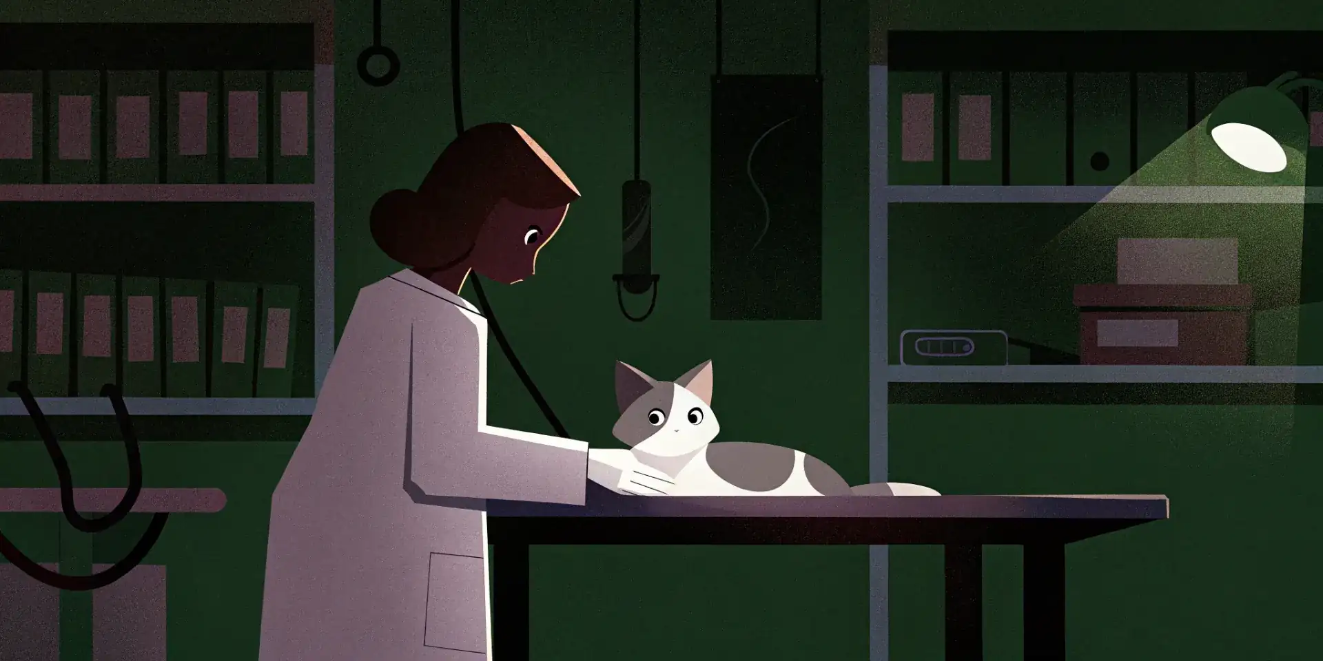 Veterinarian examining a cat during an annual check-up
