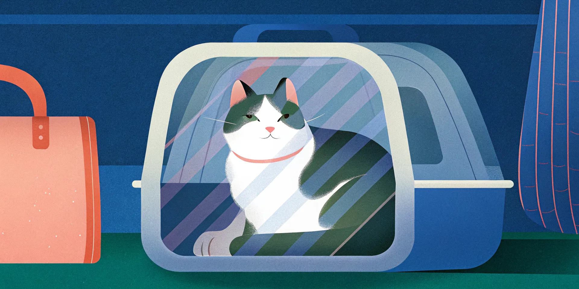 A cat comfortably sitting in its carrier