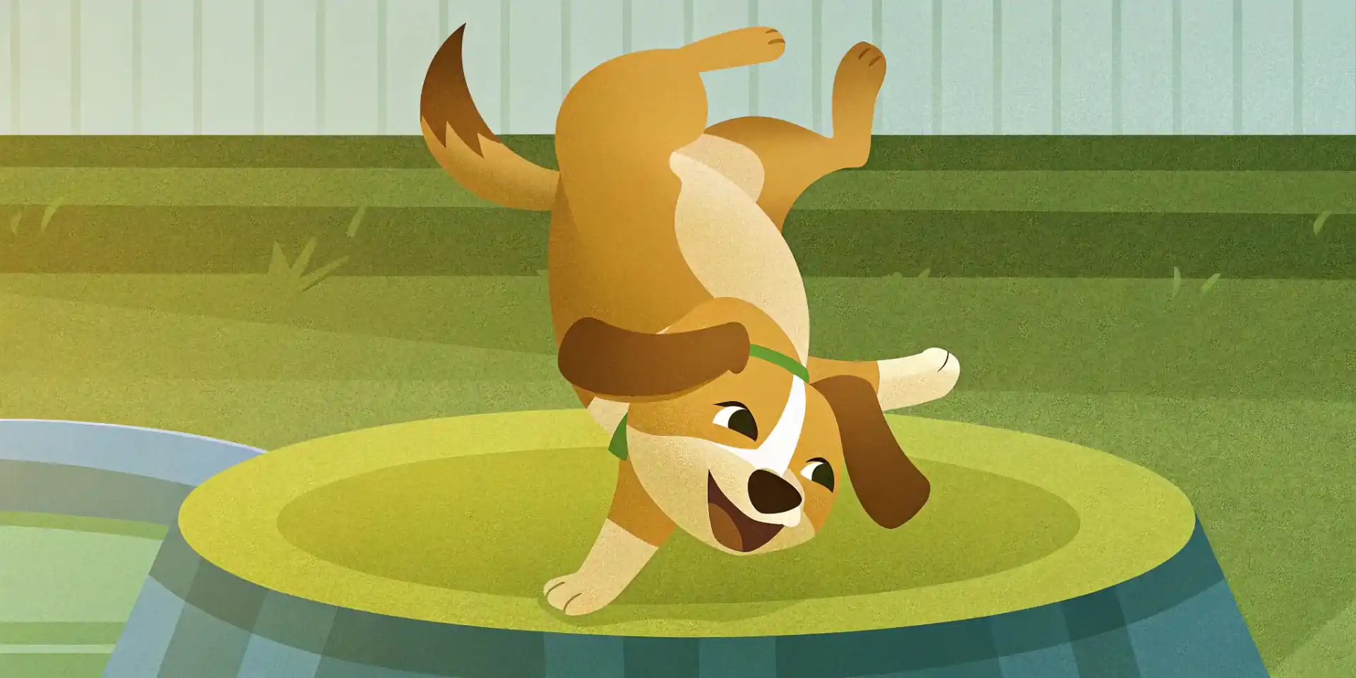 Happy dog doing a trick