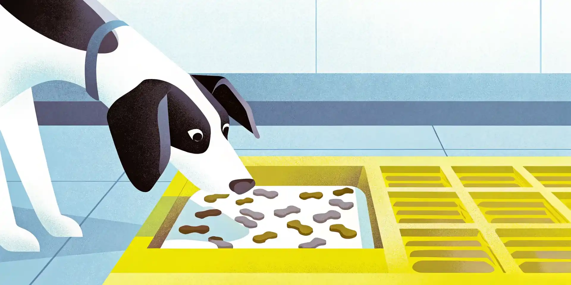 Dog using a snuffle mat