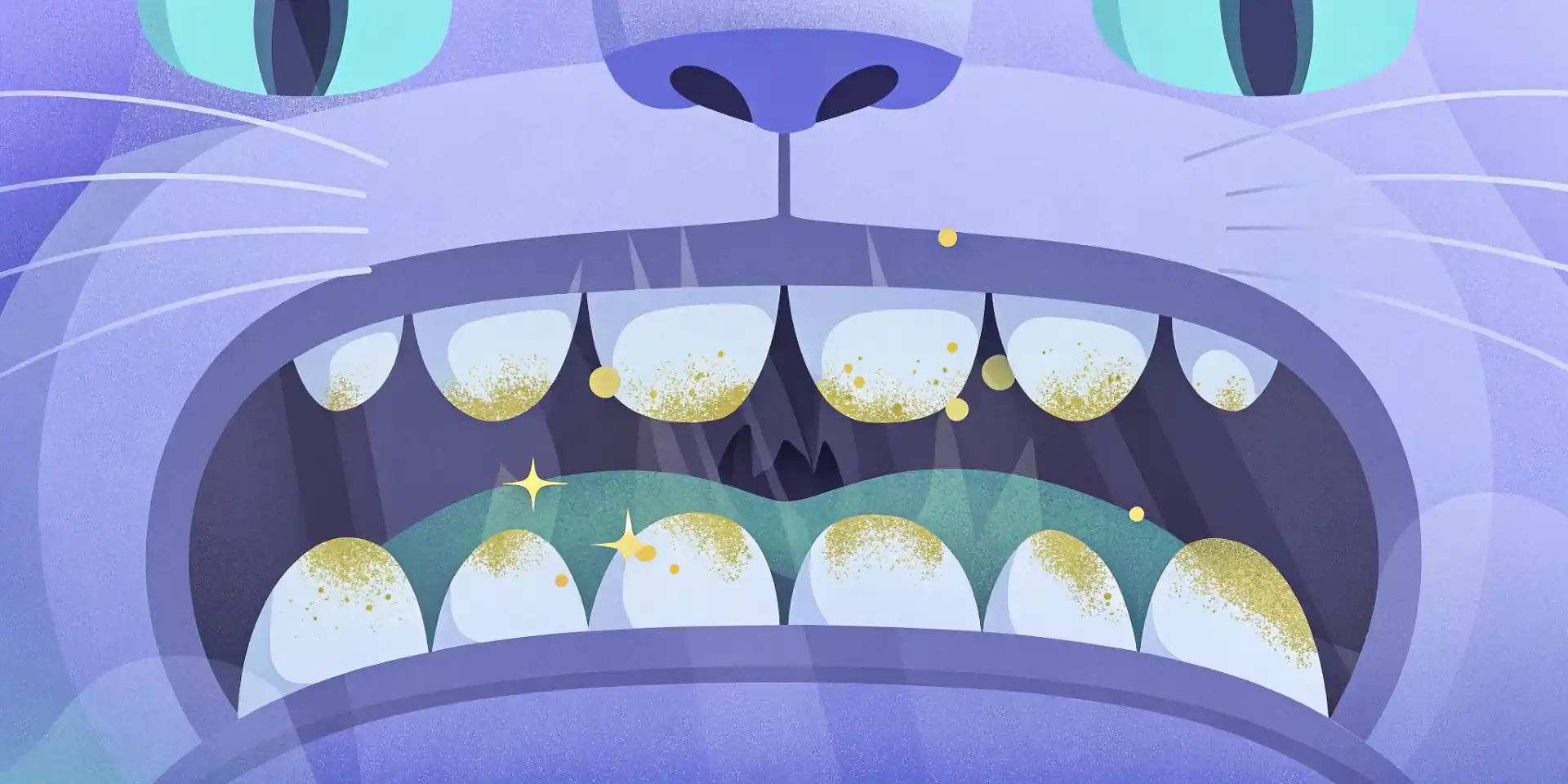 Close-up of a cat's teeth with tartar buildup