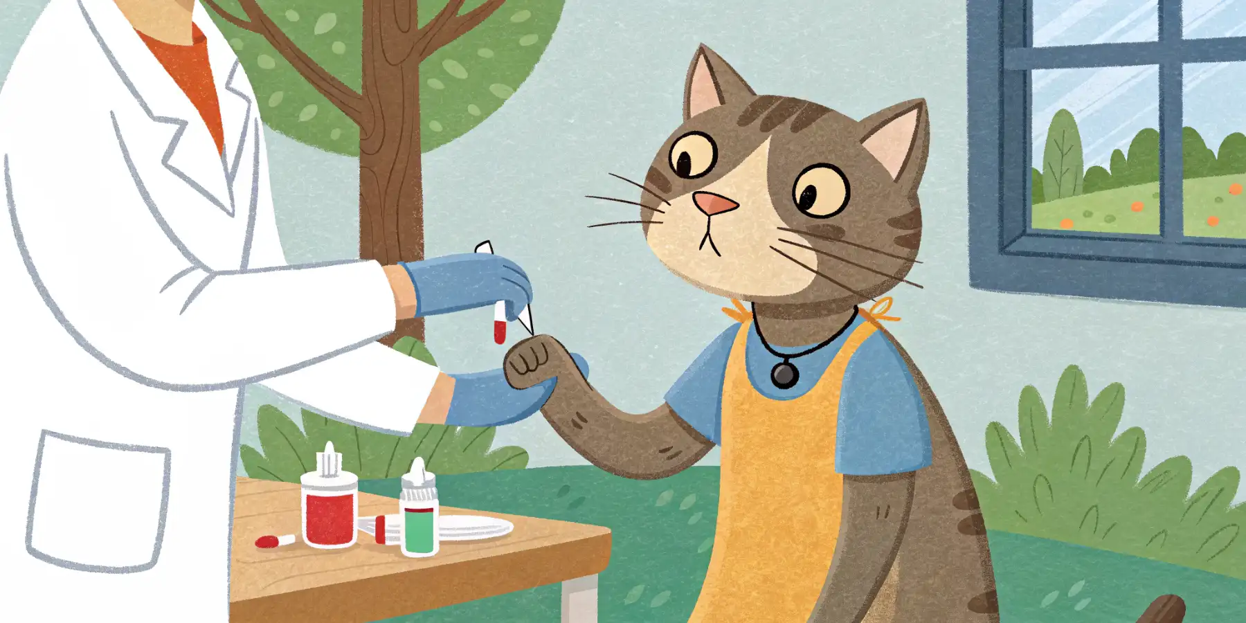 A cat getting a blood draw at the veterinarian's office