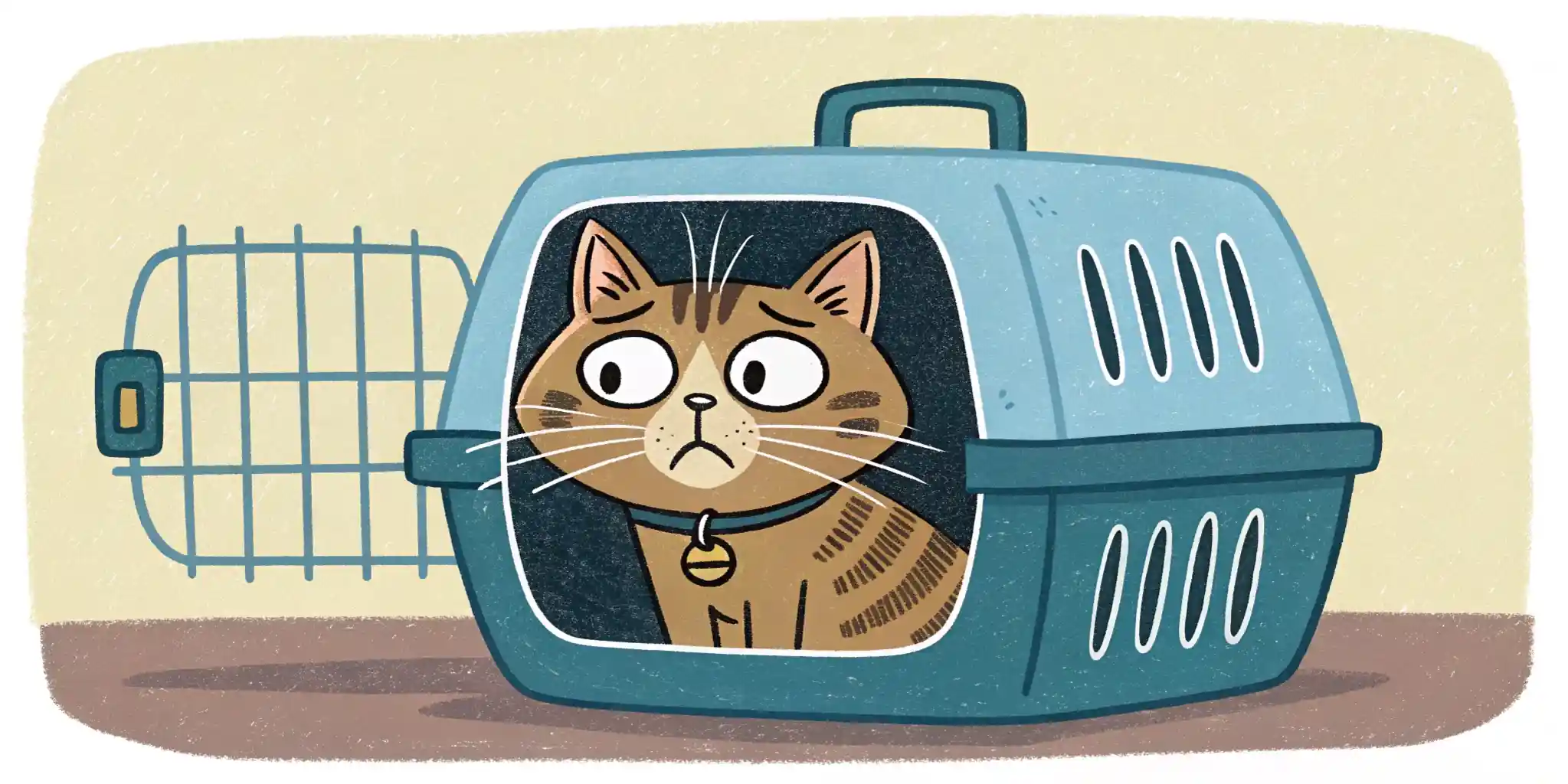 A cat in a carrier, looking stressed and anxious.
