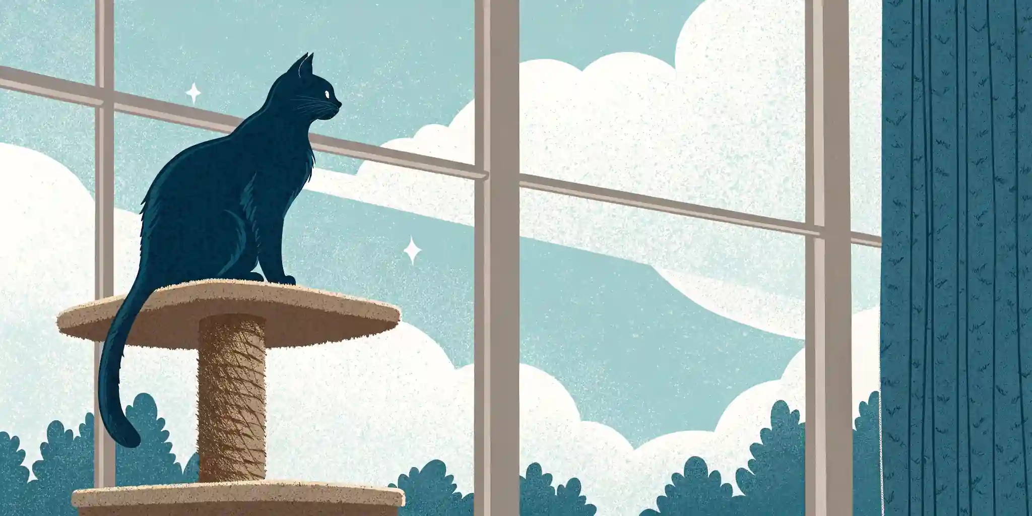 A cat perched on a tall cat tree, looking out a window.