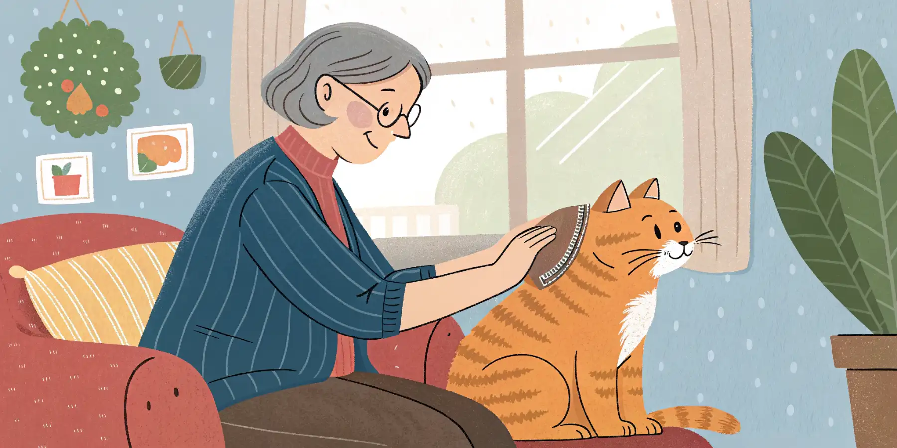A senior cat being gently brushed by its owner