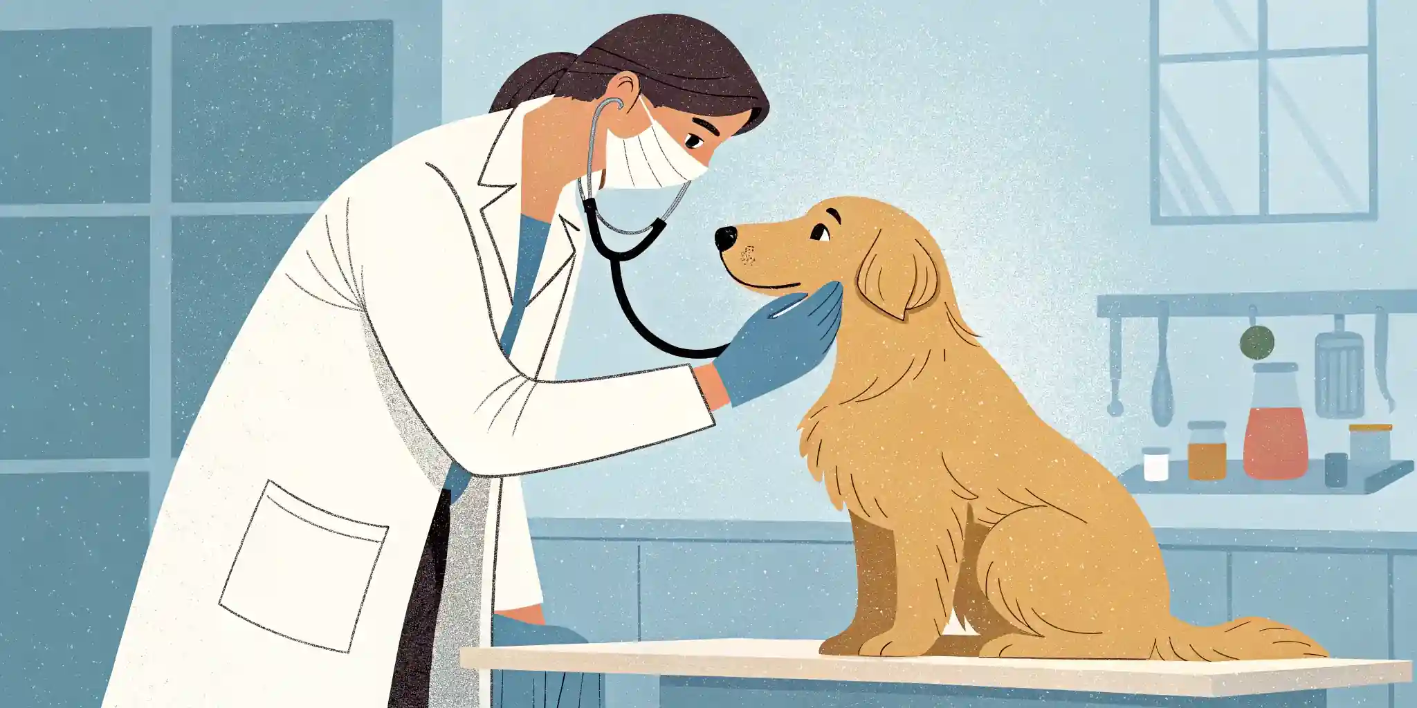 A veterinarian examining a dog