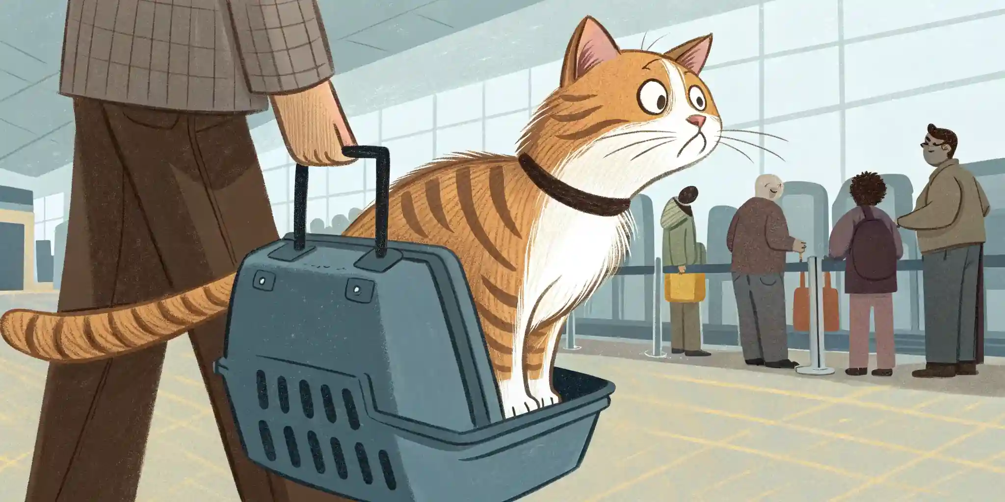 An anxious cat being held in a carrier in an airport security line.
