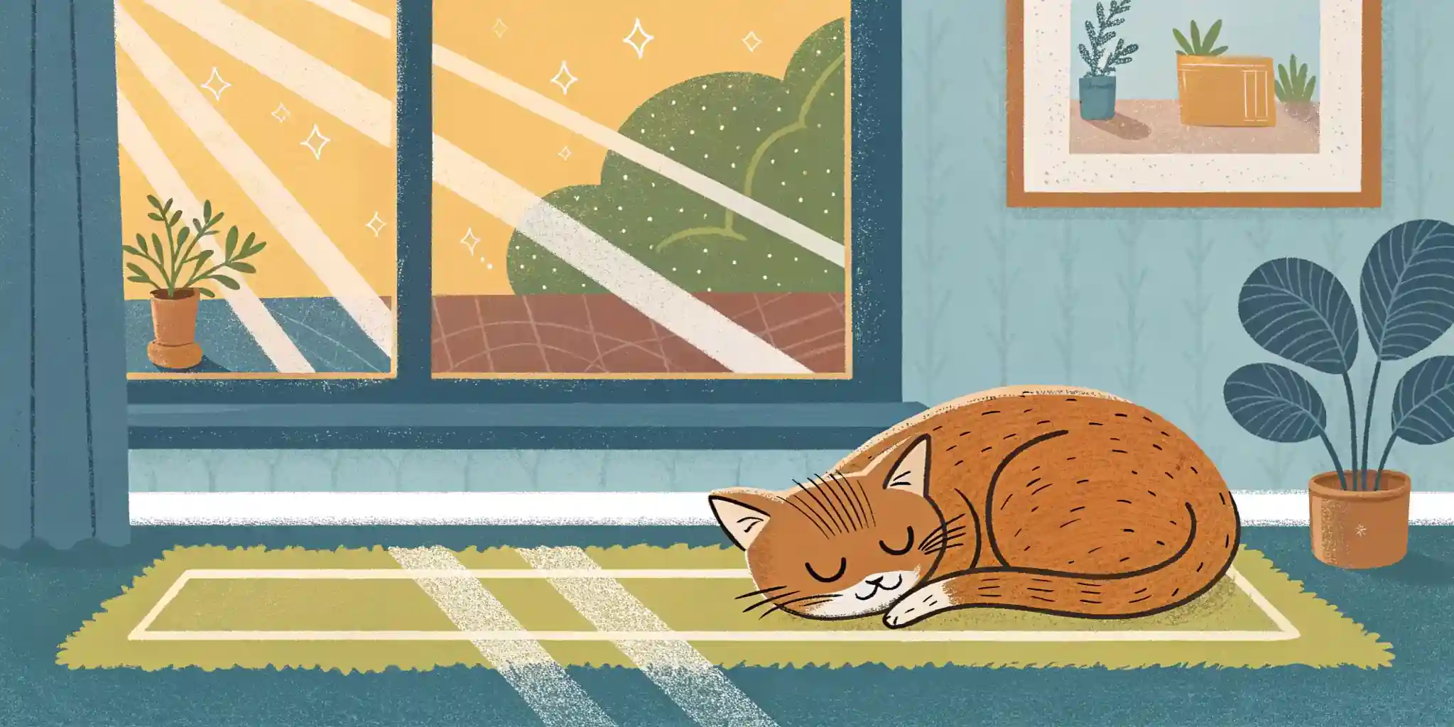 Cat napping on a sunny windowsill