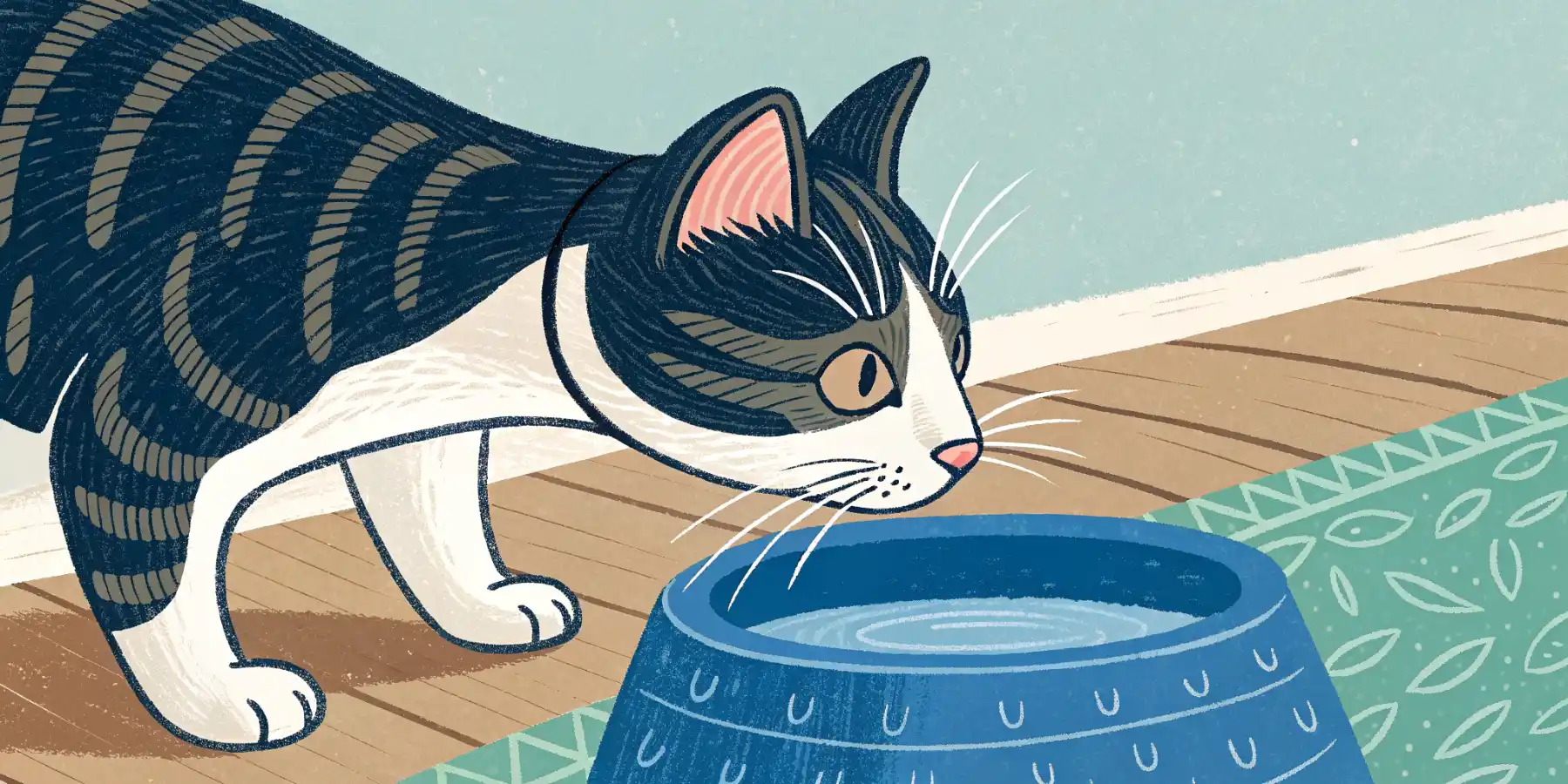 Close up of a cat lapping up water