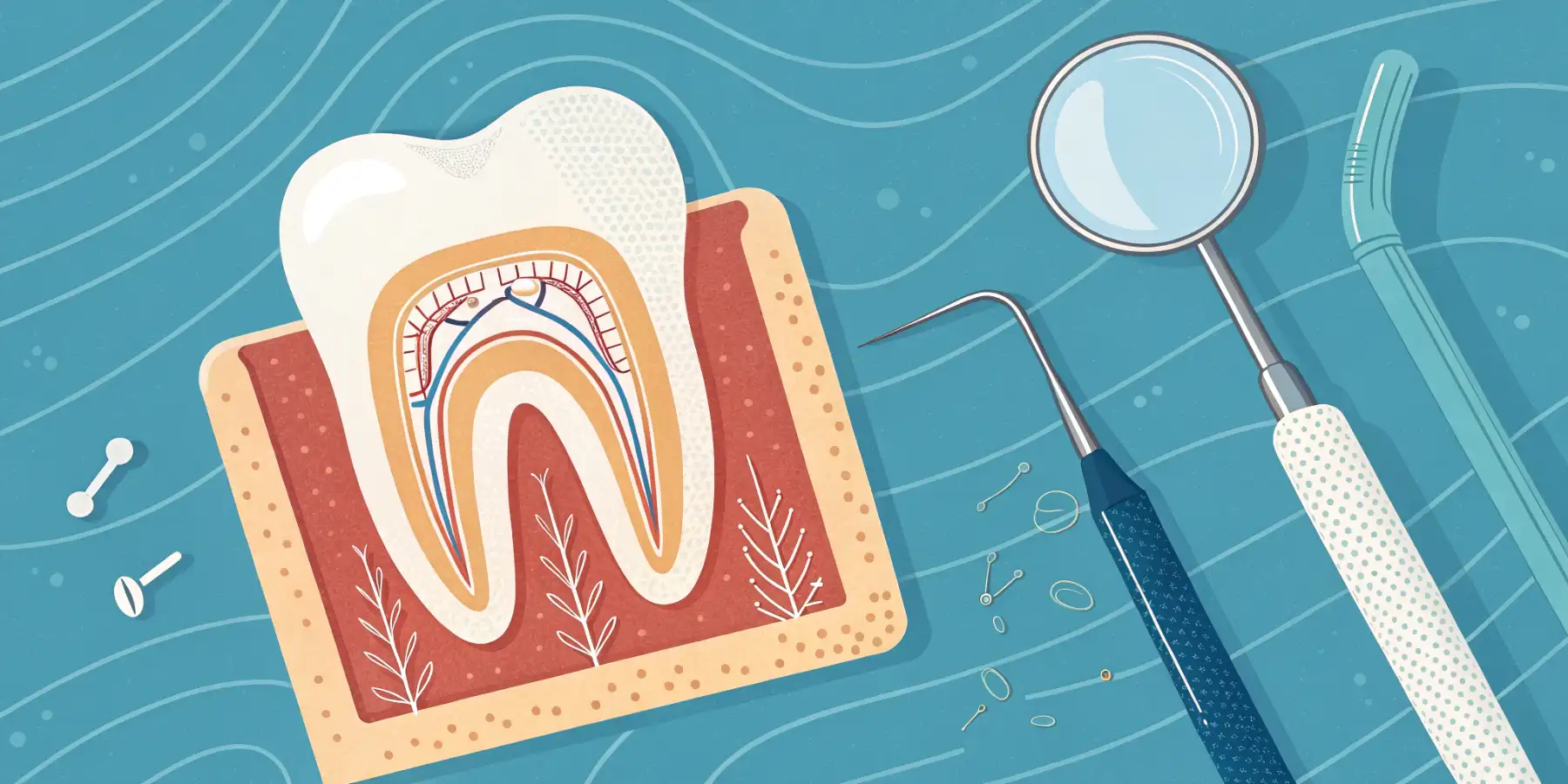 Dental X-ray showing tooth resorption
