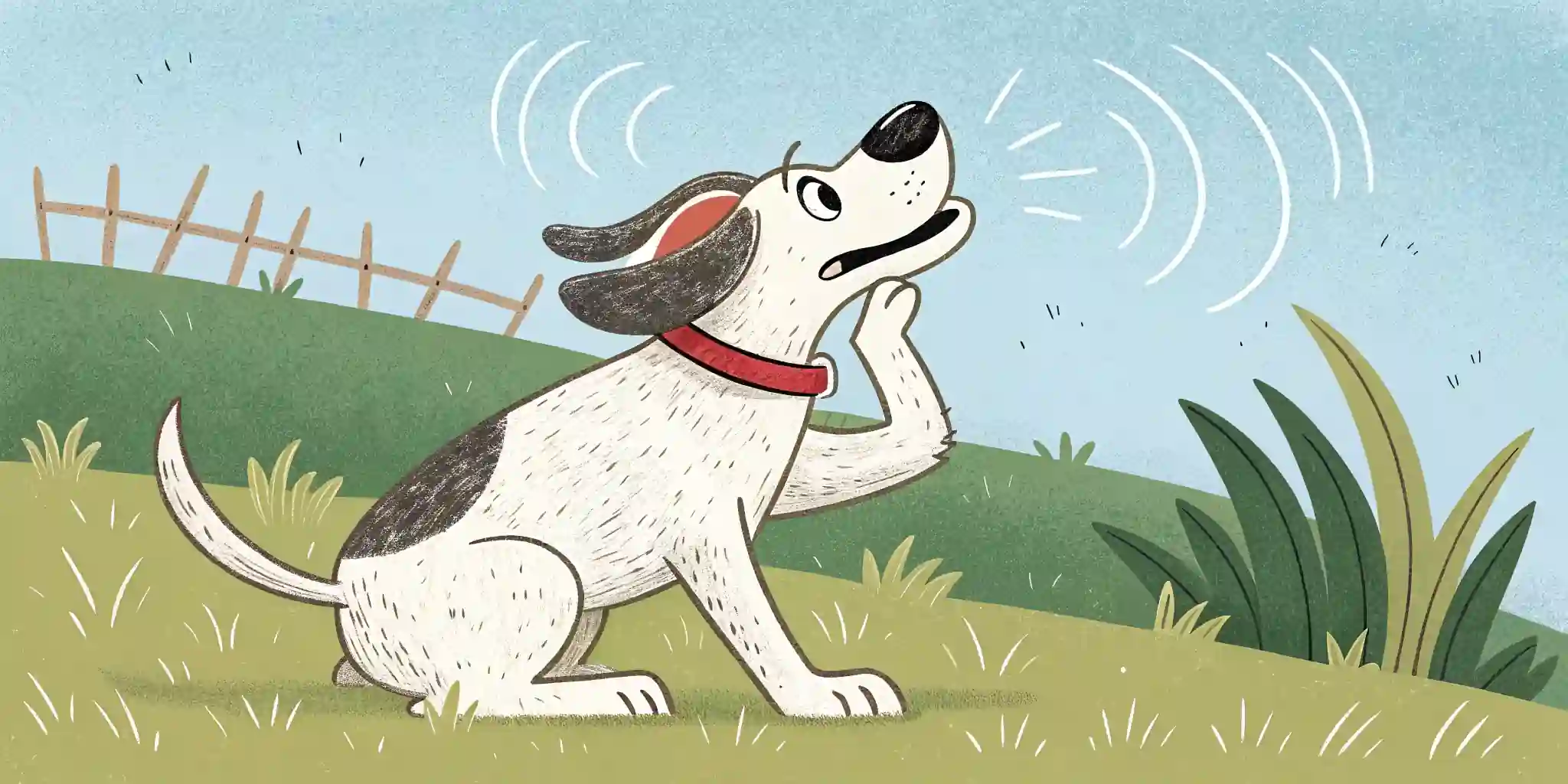 Dog scratching its ear vigorously