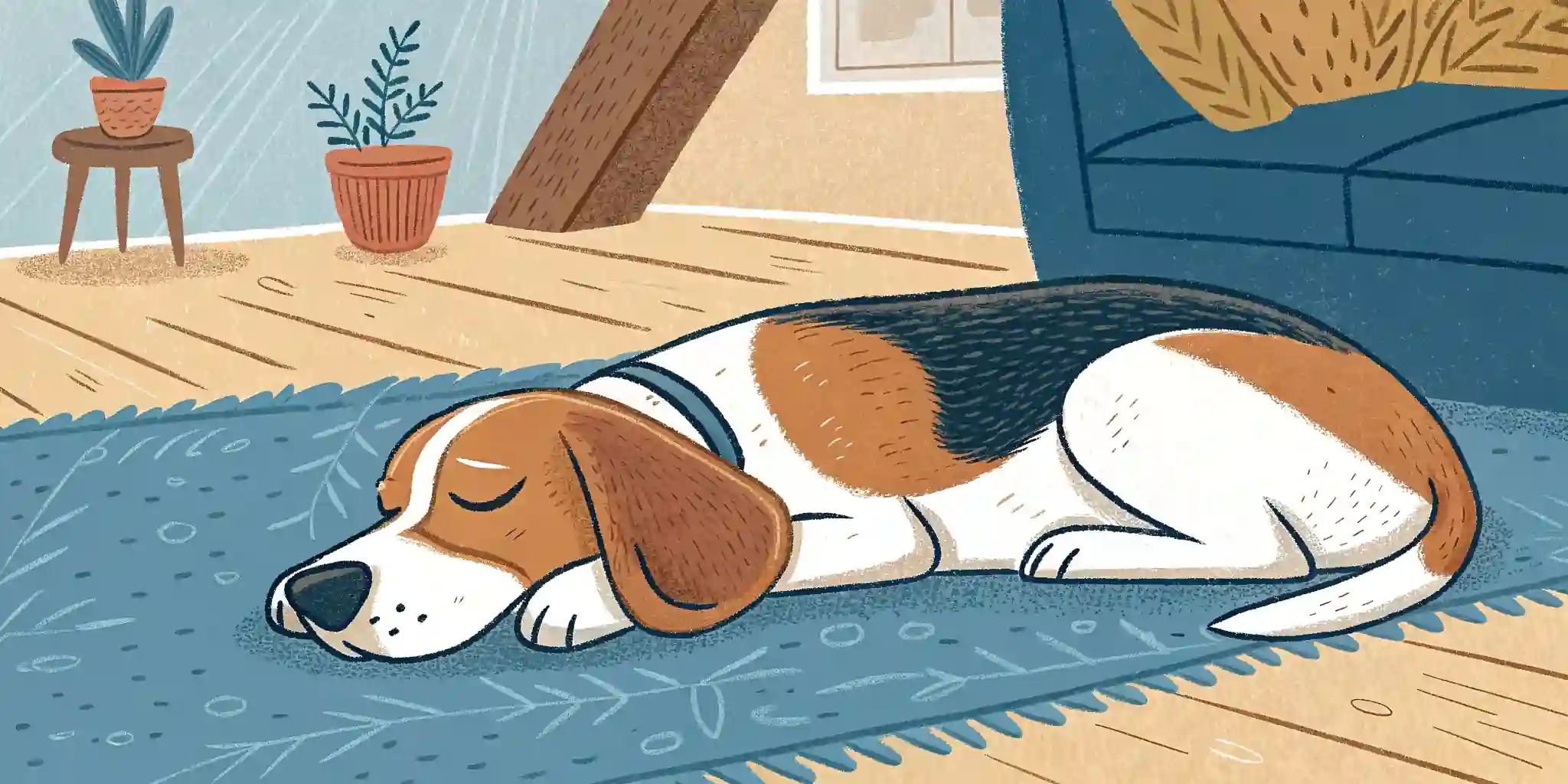 Dog sleeping peacefully