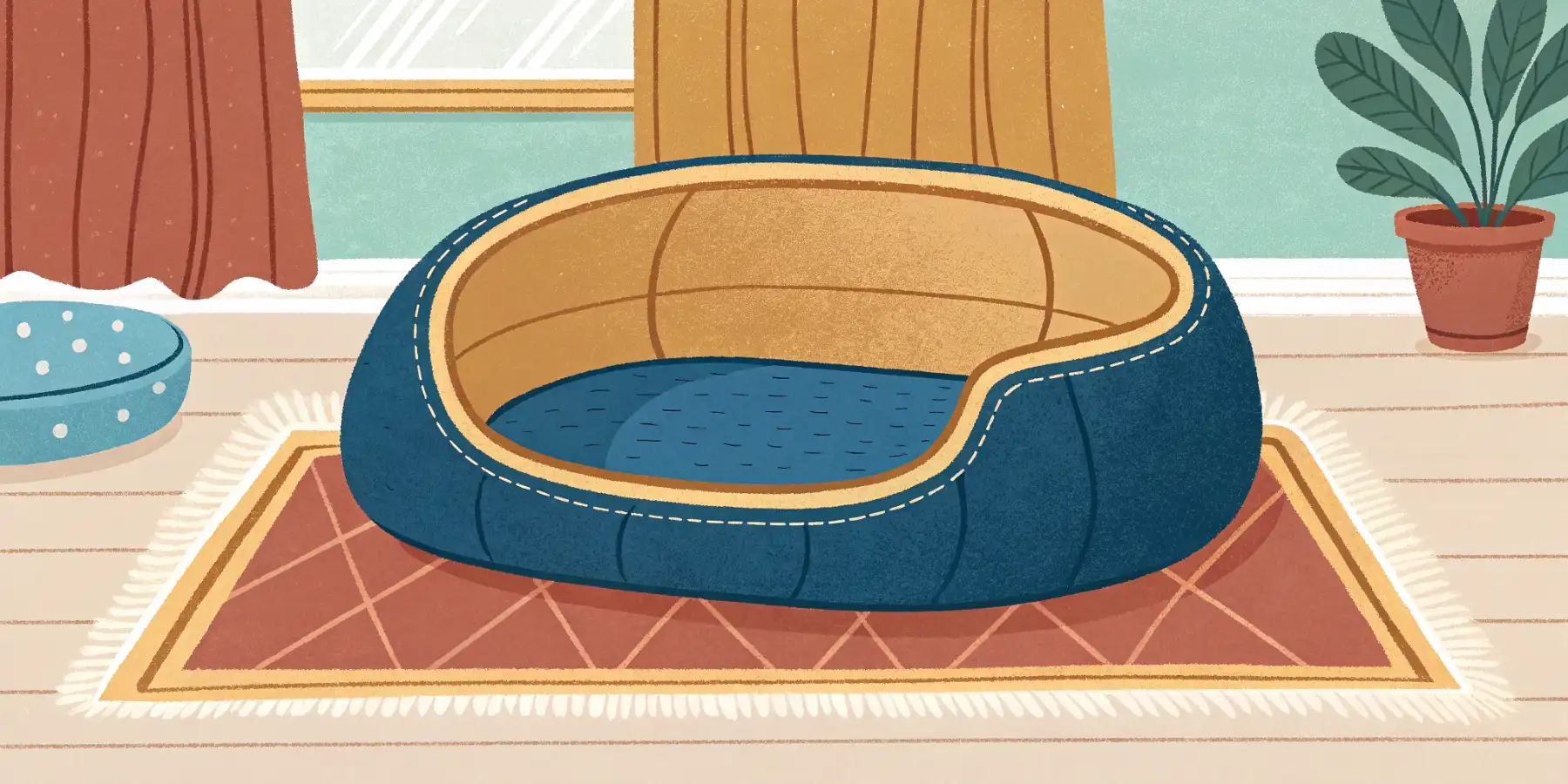 Empty cat bed in a home
