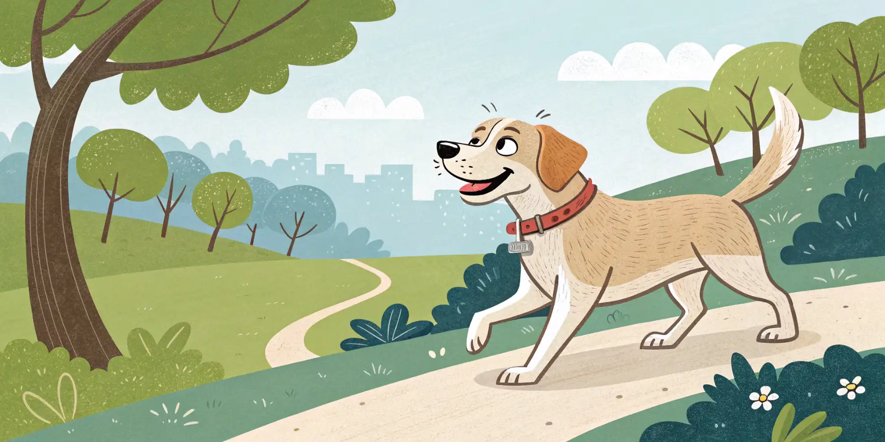 Happy senior dog enjoying a gentle walk in the park