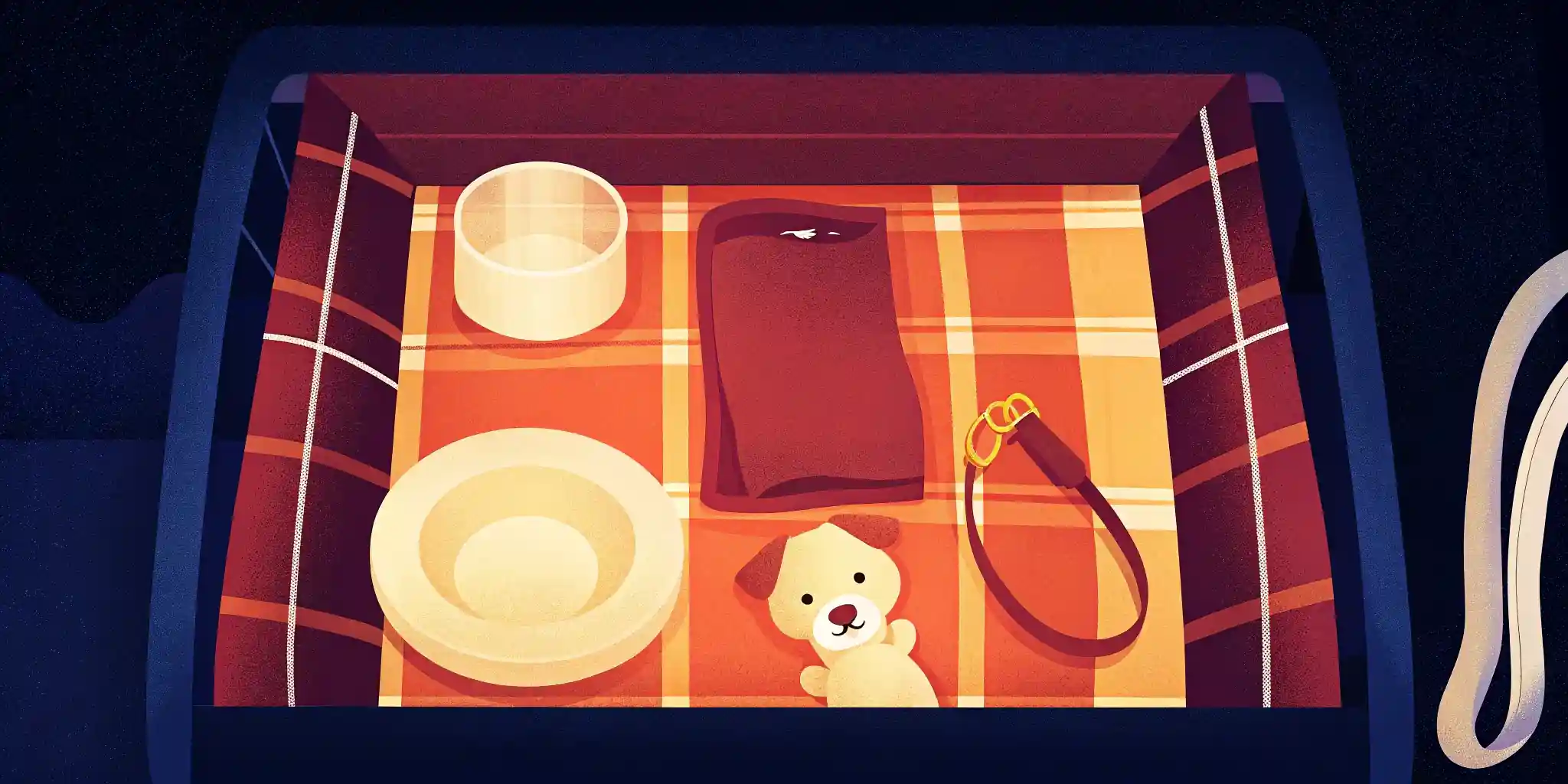 Puppy essentials laid out on a blanket