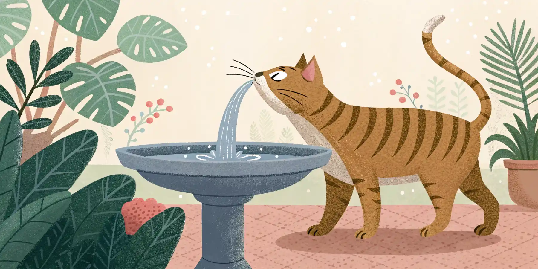 Senior cat drinking water from a fountain