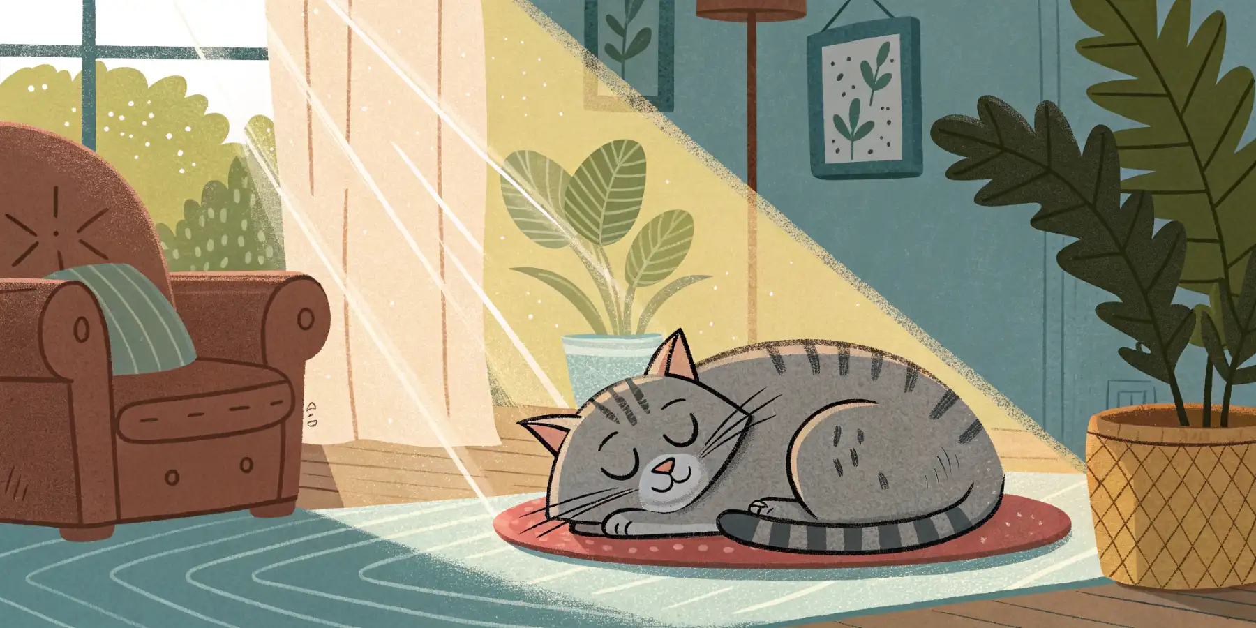 Senior cat napping in a sunbeam