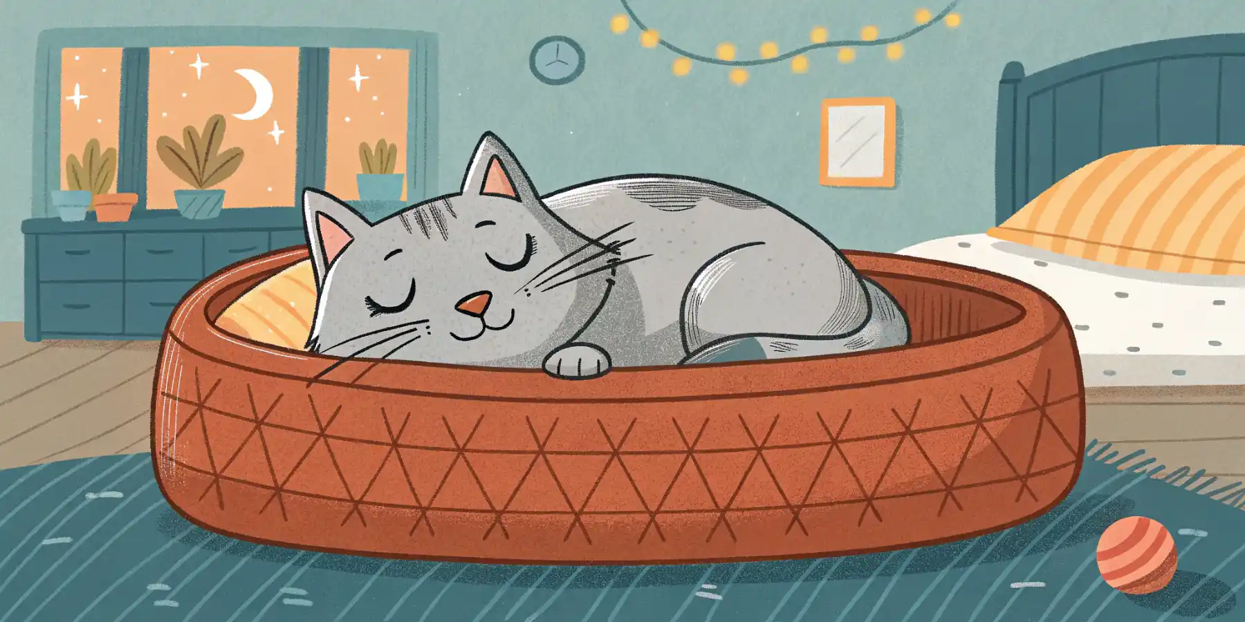 Senior cat sleeping soundly in a heated bed