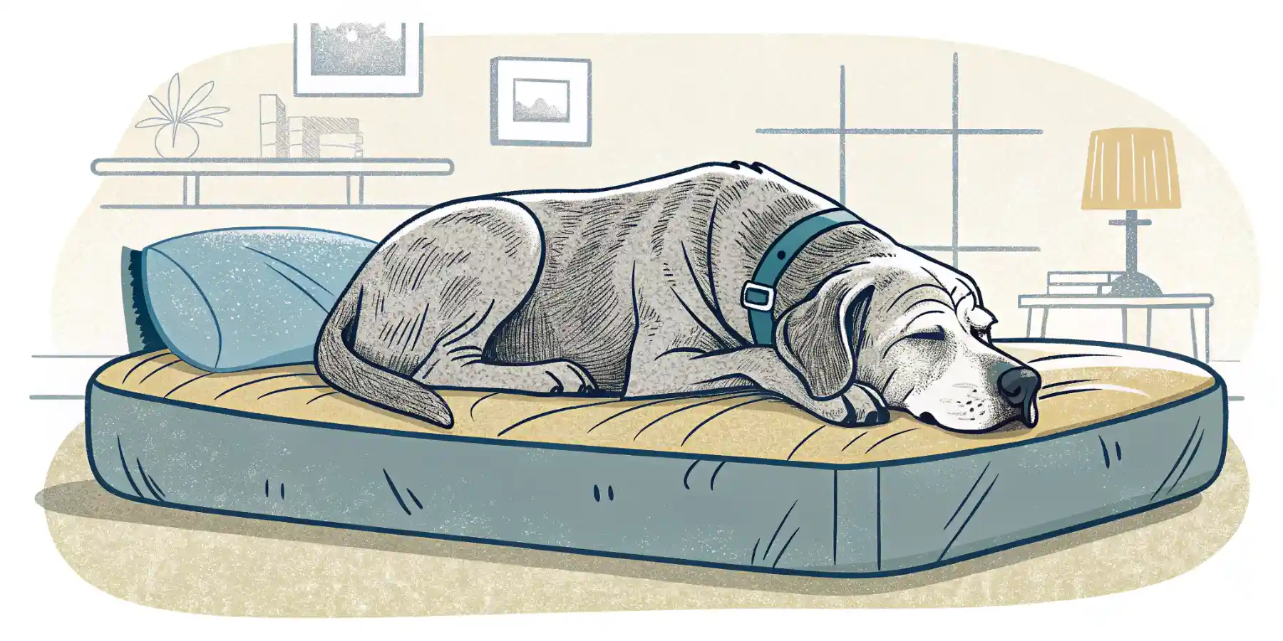 Senior dog sleeping comfortably on an orthopedic bed