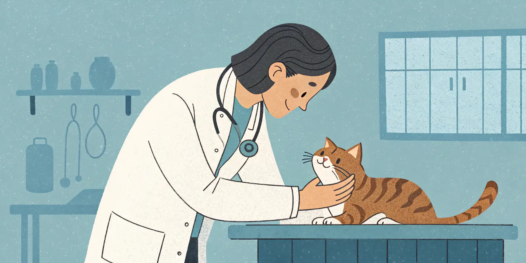 Veterinarian comforting a cat during an exam.